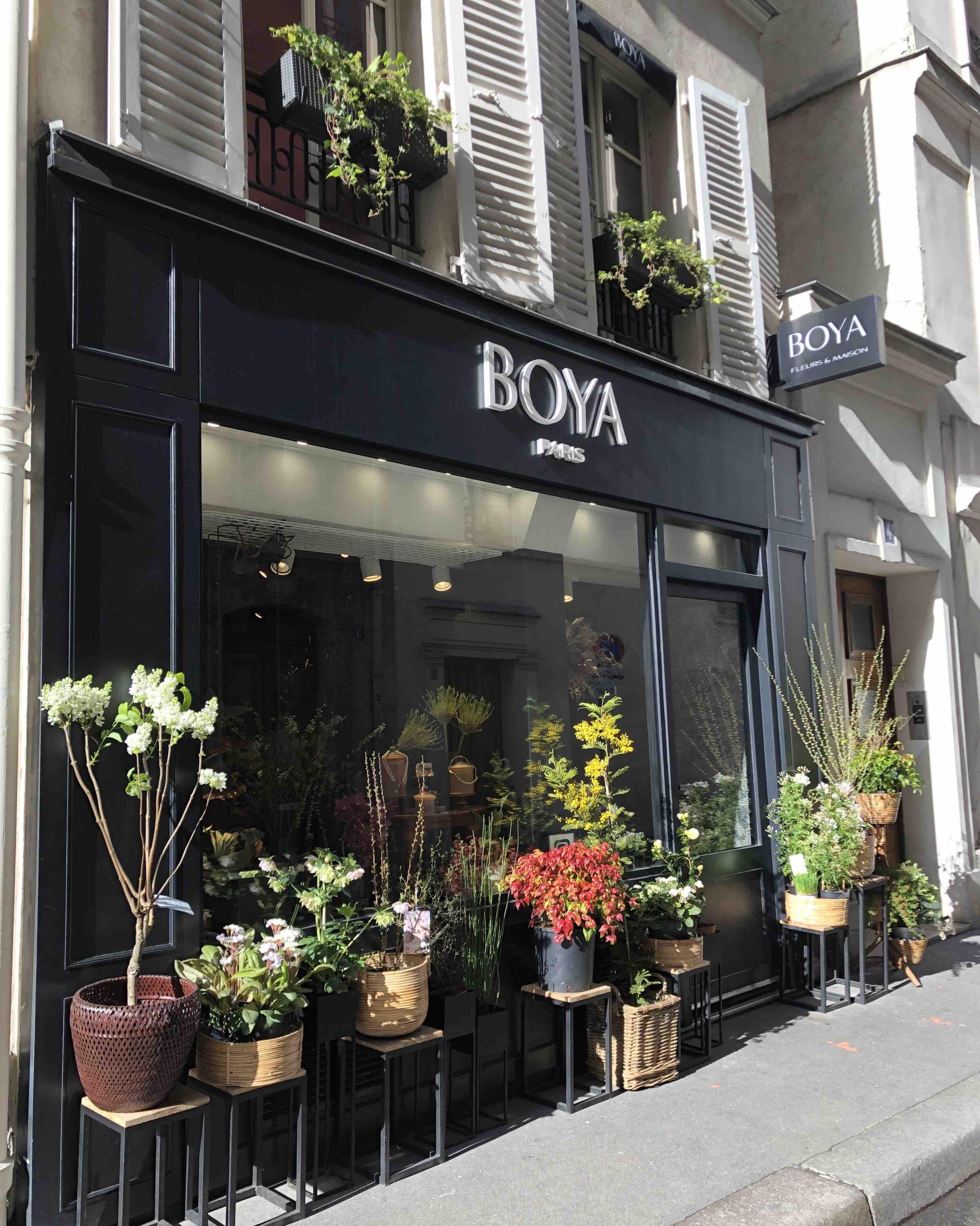 BOYA best florist paris concept store flower deco lifestyle plant garden 