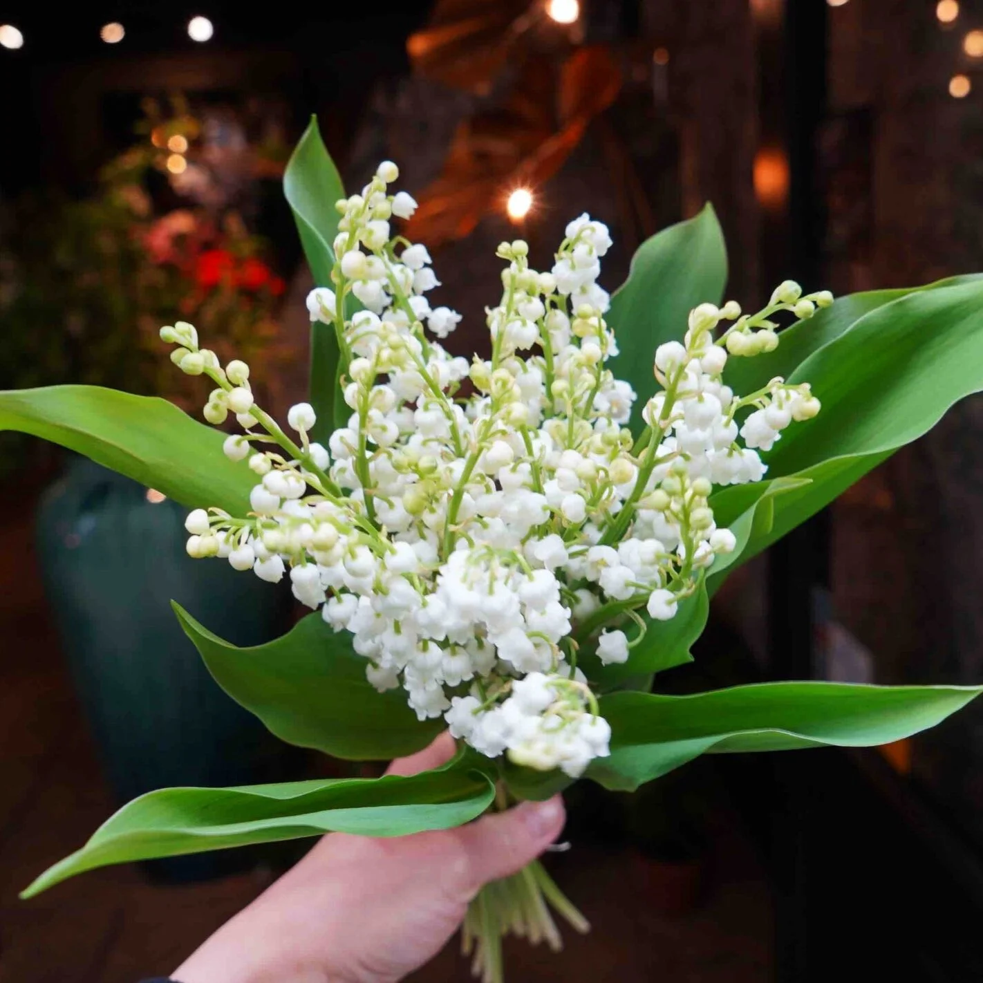 bouquet brassée muguets 1er mai porte-bonheur livraison paris