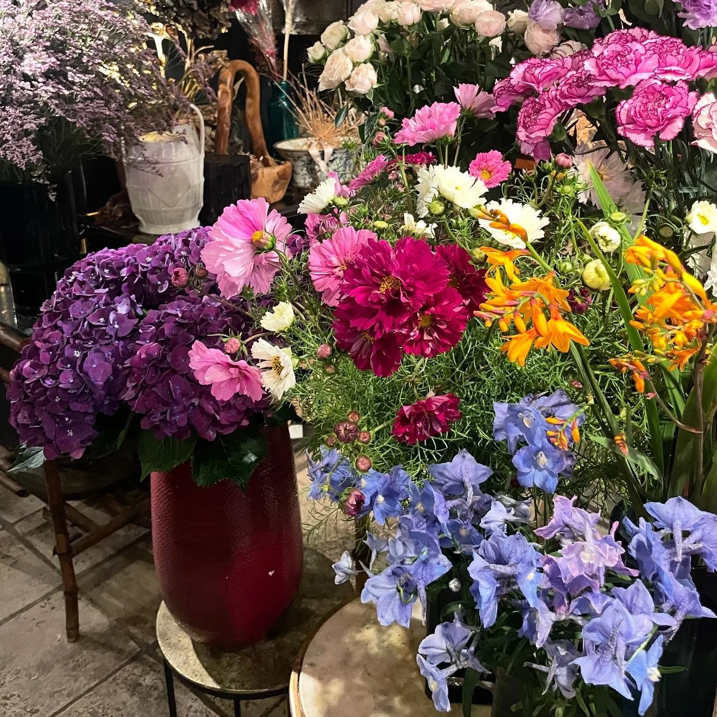 Deep purple, fuchsia, orange and saphire blue, my favorite color combination of the day.