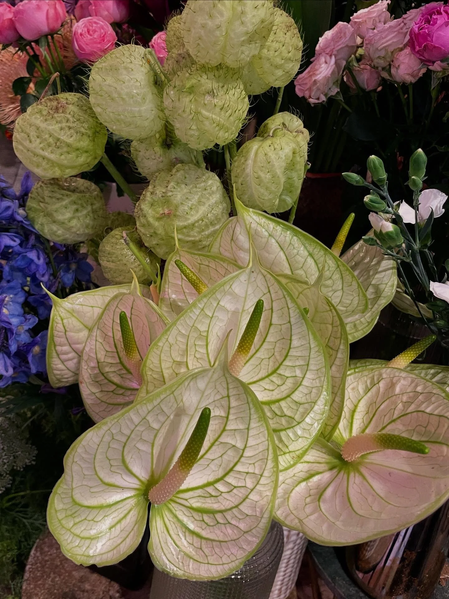 Would you be happy to receive an all green bouquet ? 
Tell me so I can think about creating a new &laquo;&nbsp;monochrome green&nbsp;&raquo; bouquet :