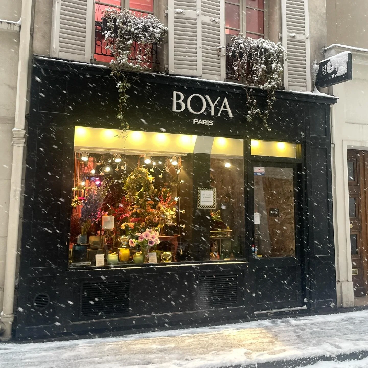 今晨。我最爱的BOYA店铺门面照之一。❄️