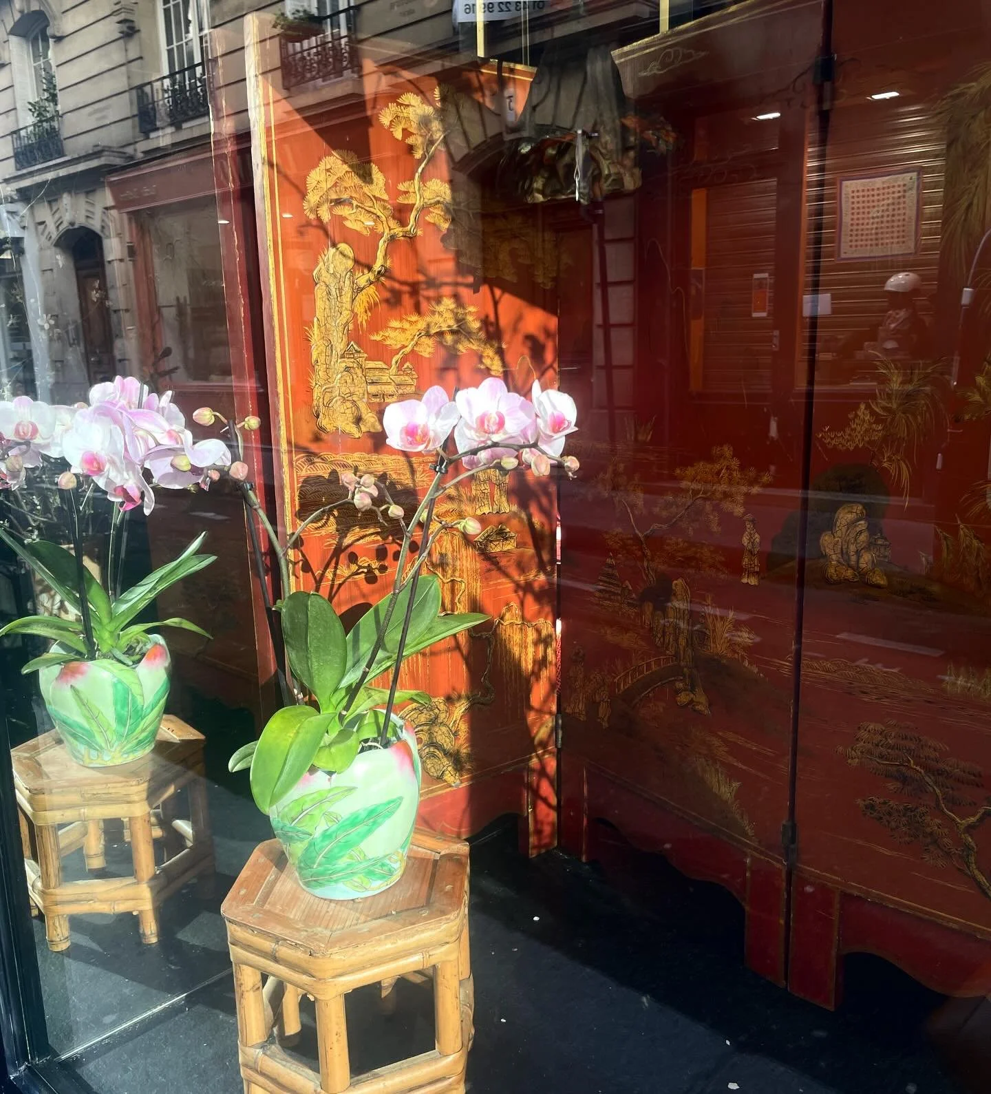 Chinoiserie window display
Red lacquered screen and antique porcelain planter : price on request