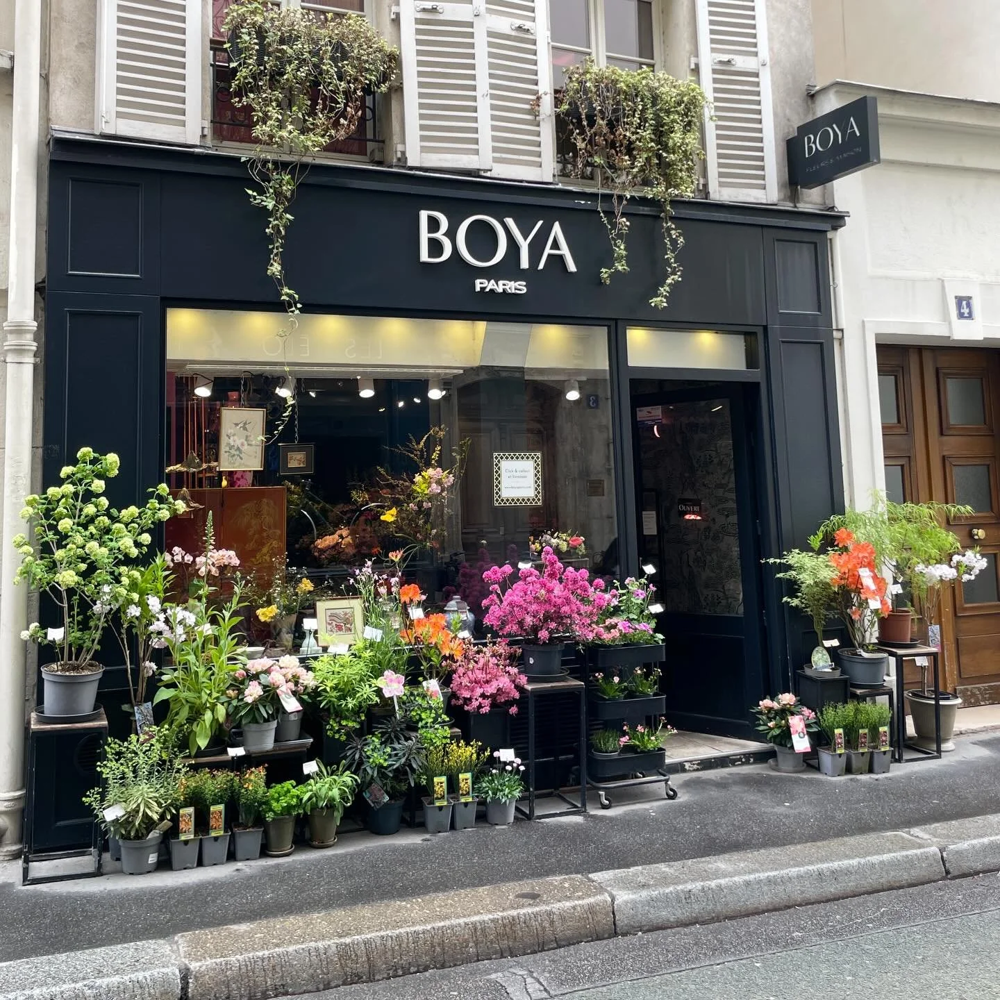 BOYA street garden