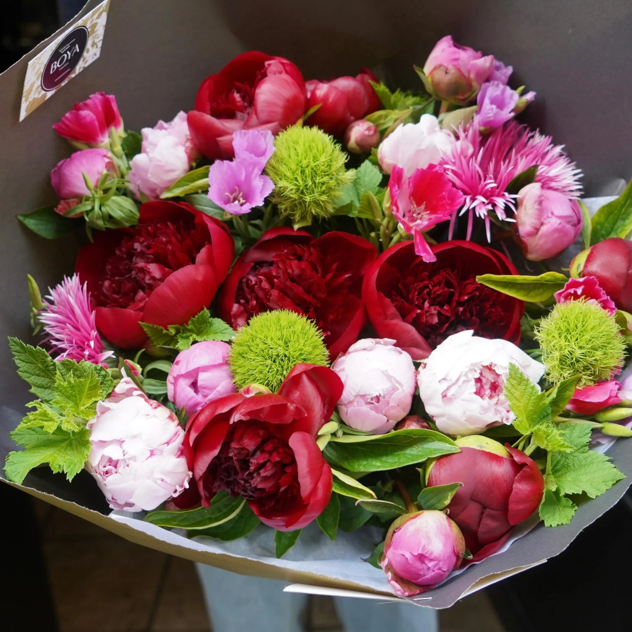 Peony season is ending, enjoy the last ones !