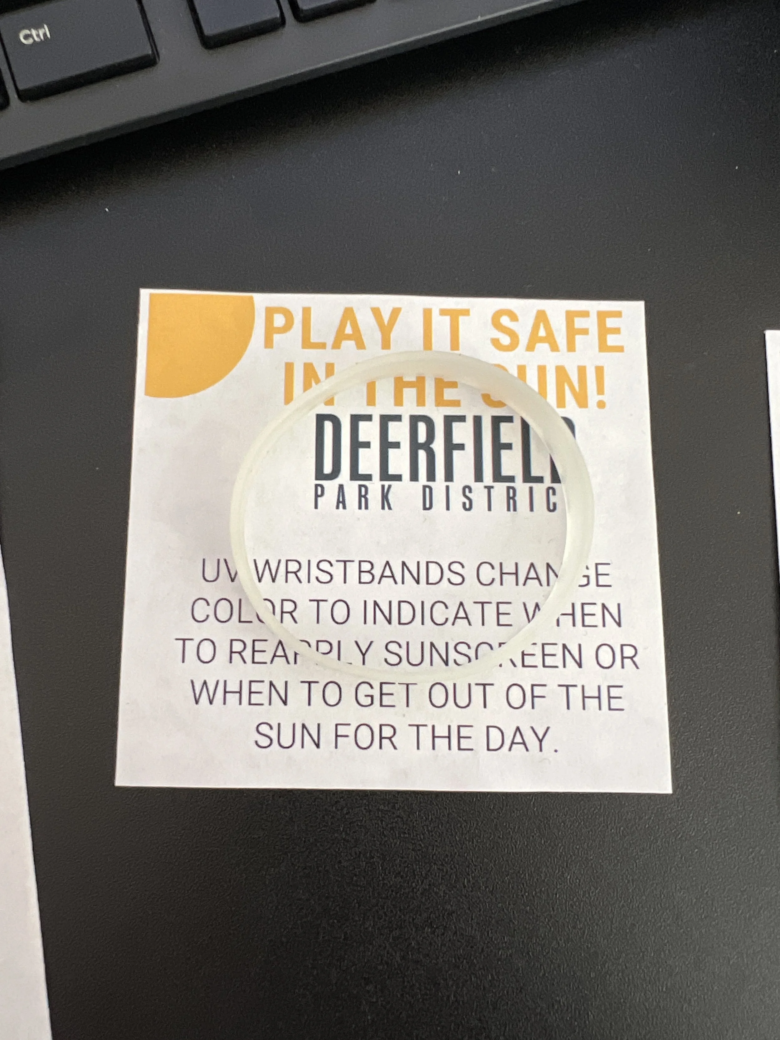 UV Wristband Promotional Item