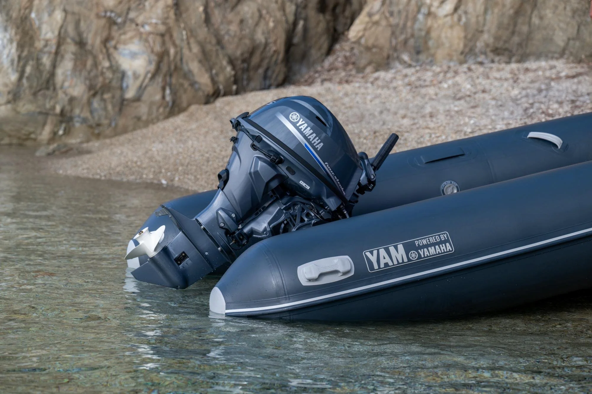 Yamaha Portable F25 - F2.5