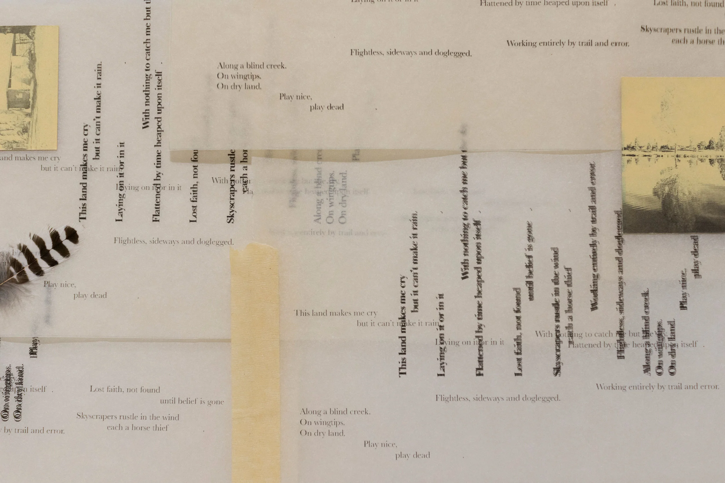 Detail: By Trail and Error