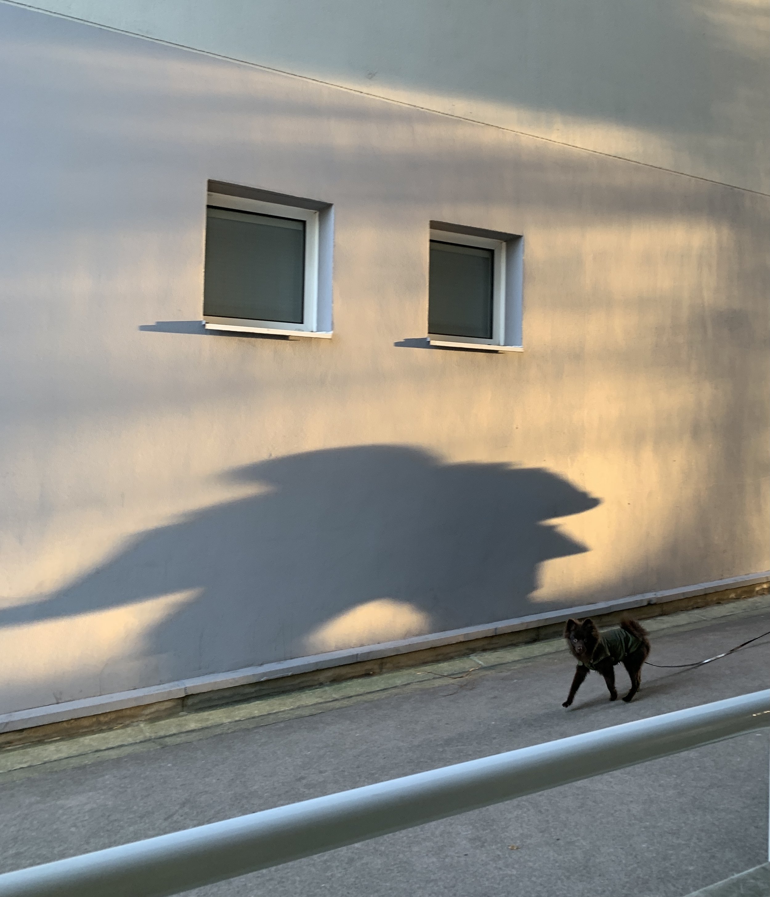9. dragon shadow.jpg