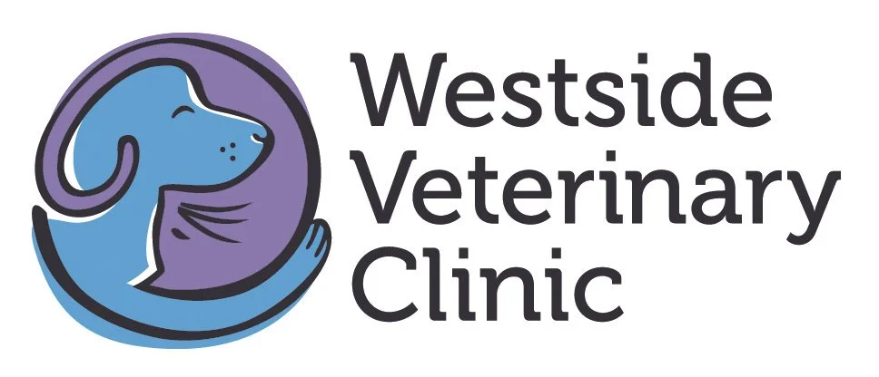 WVC_Logo_Clr.jpg
