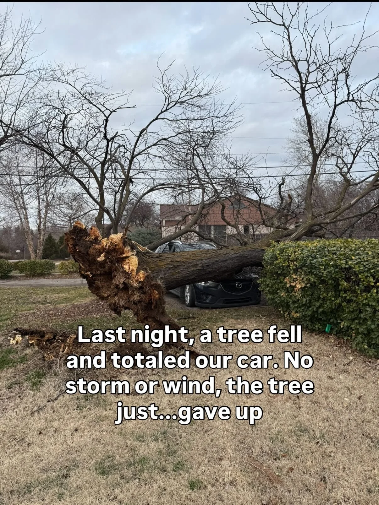 We&rsquo;re VERY fortunate. 
I&rsquo;m ENDLESSLY grateful. 
This life is such a gift. 
Hug your babies 🩷

Trusting the nudge that someone&rsquo;s wanted this mindset. That they&rsquo;re ready to choose an easier way. And I want to make it easier, to