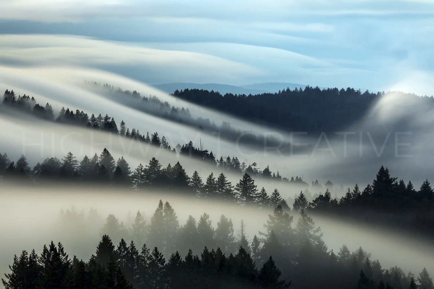 Marin County Blues