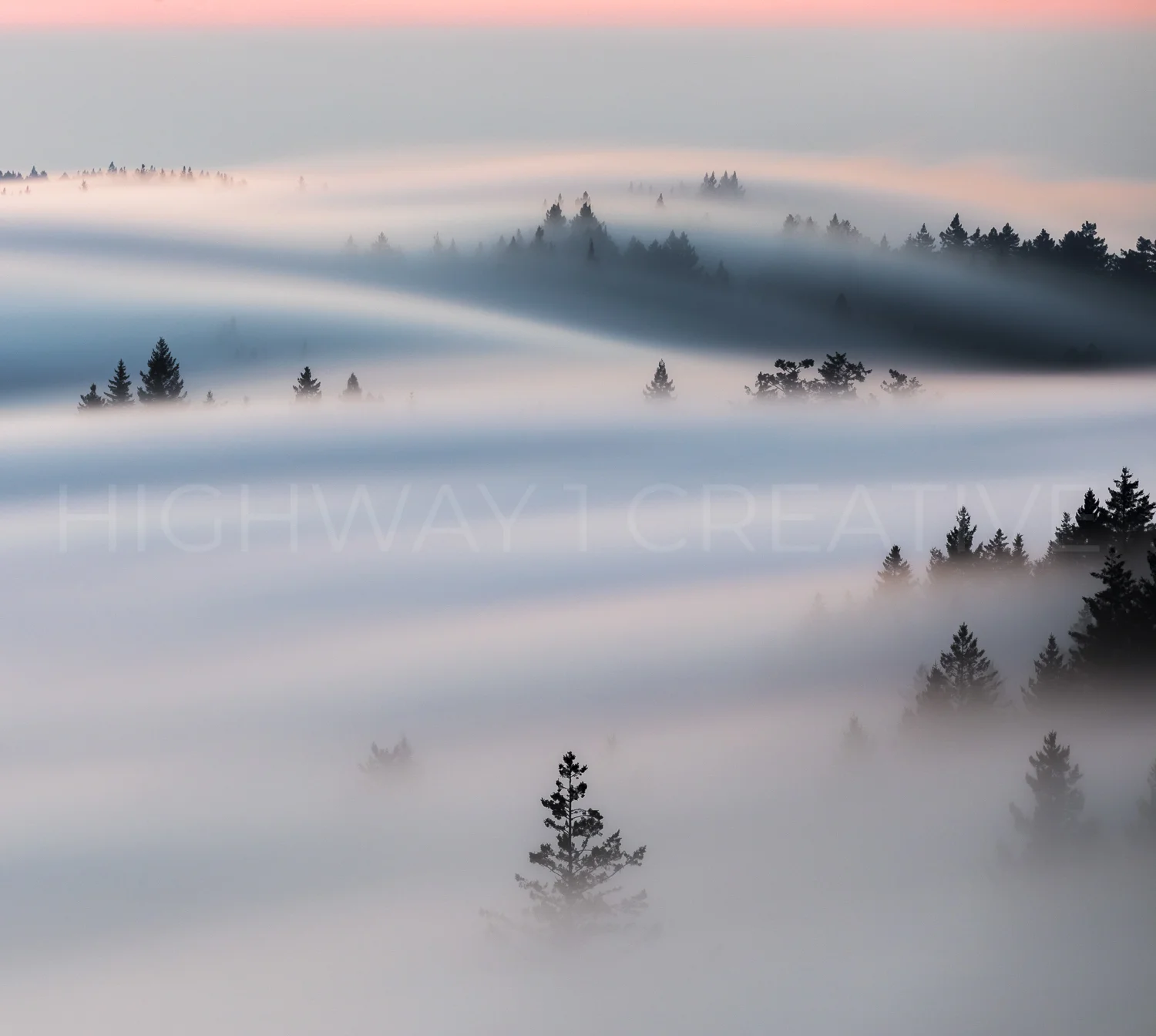Summertime On Bolinas Ridge