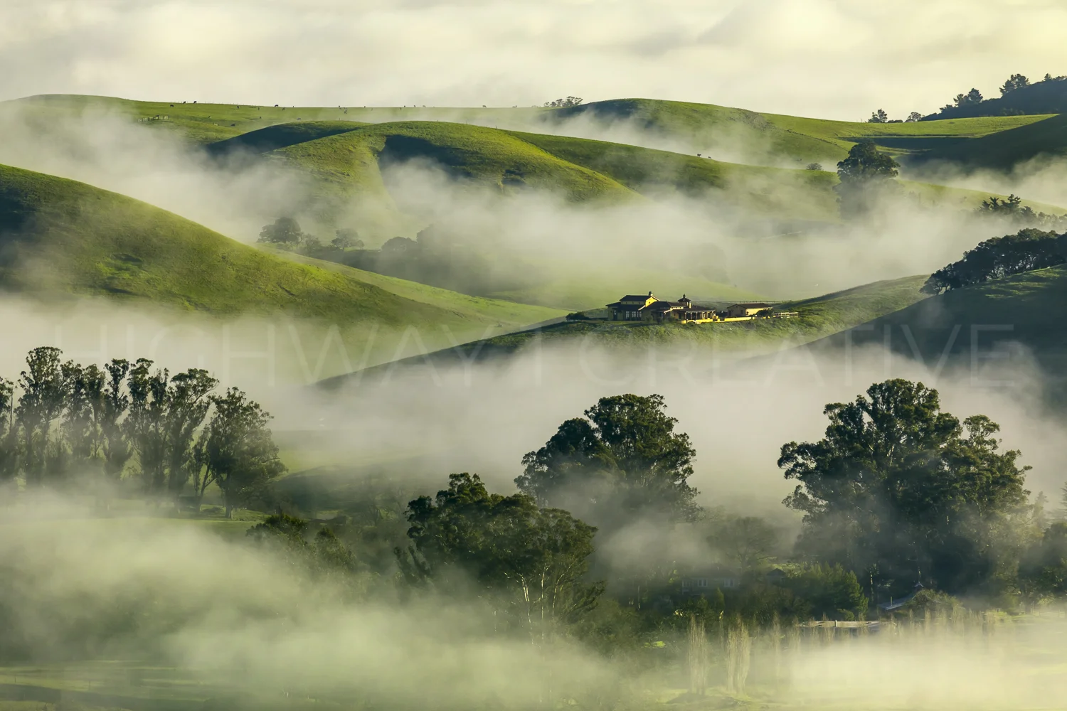 House On The Hill