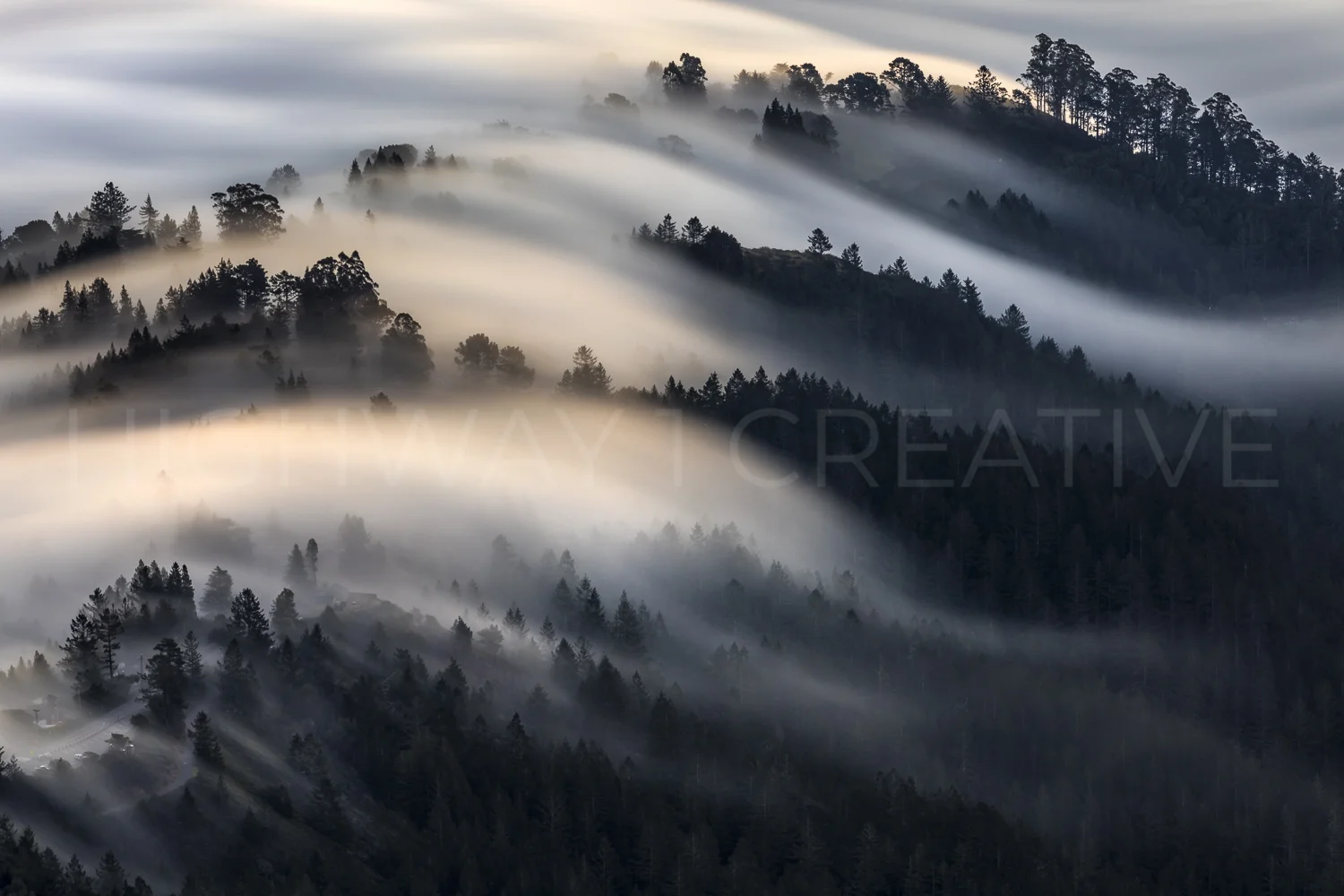 Mill Valley Fog