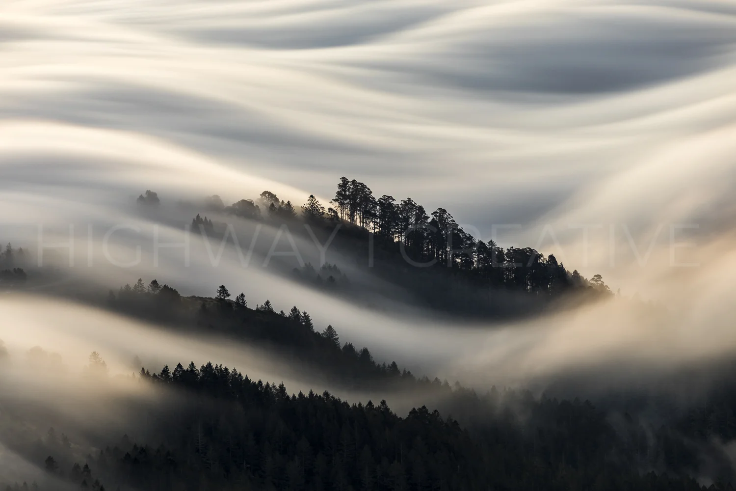 Winter In Mill Valley