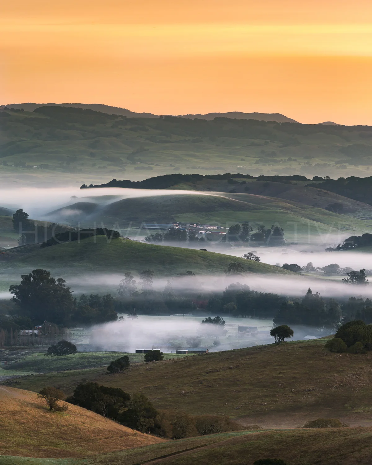 A Fertile Ground
