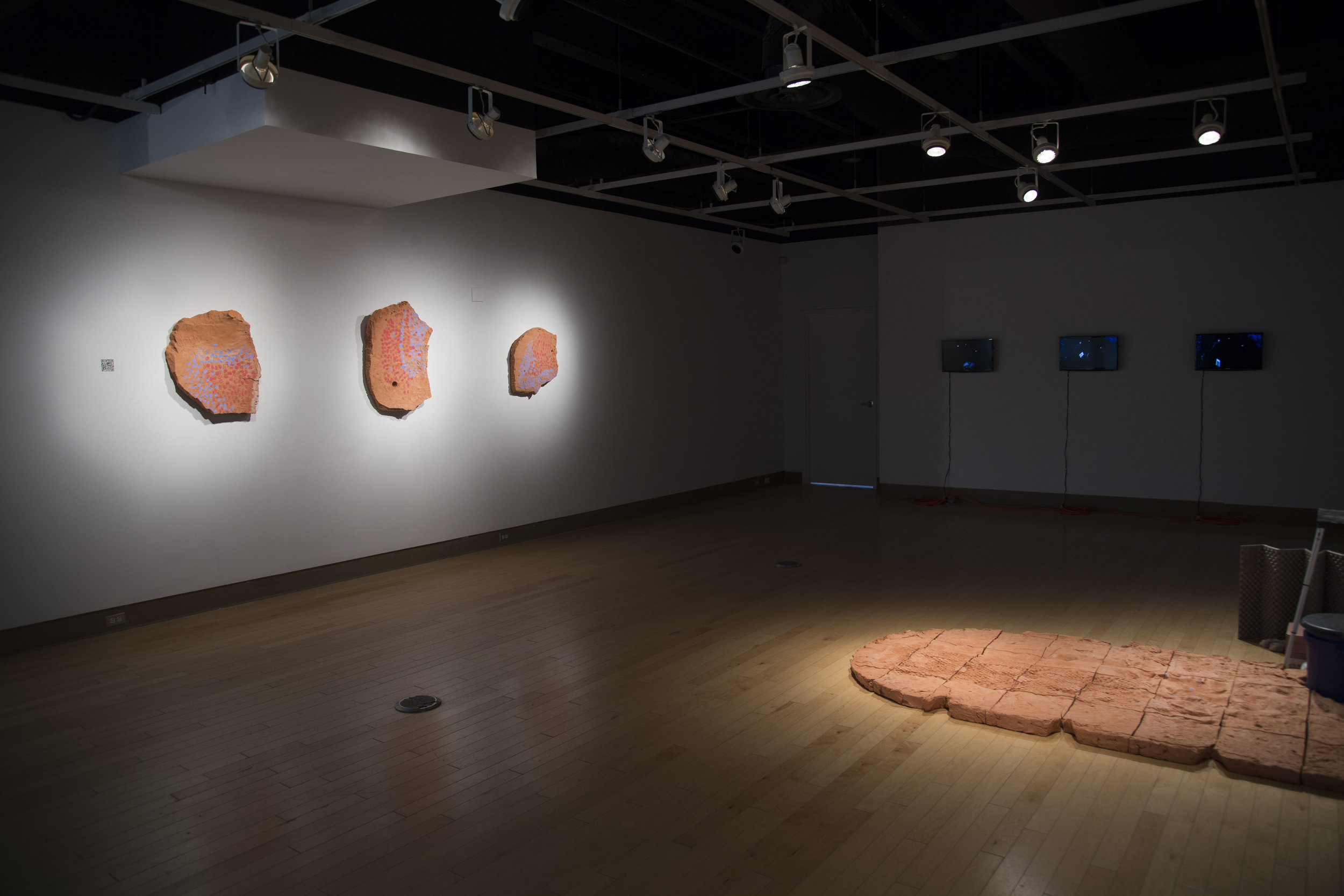 Zohn thesis 2018_68.JPG