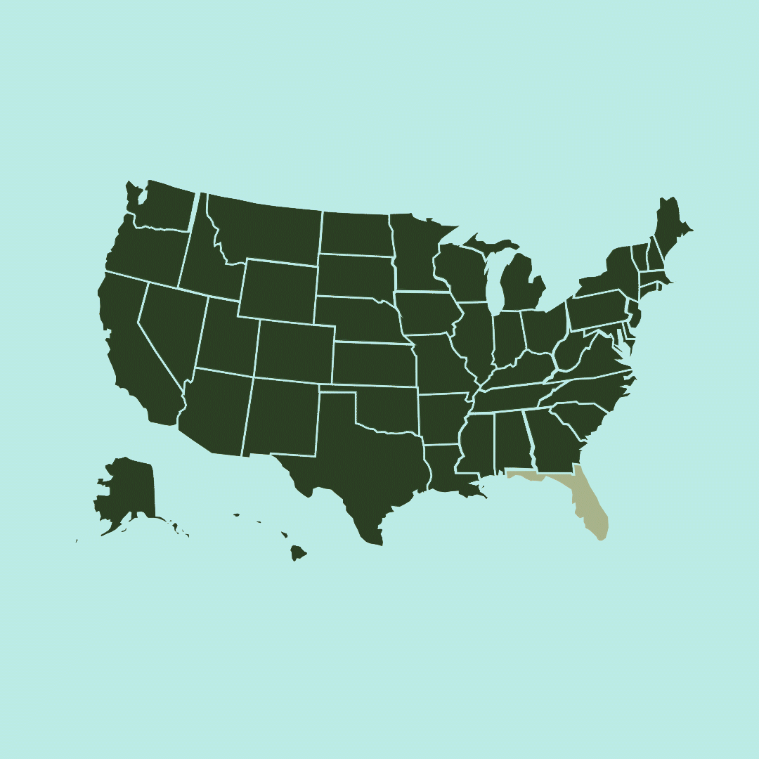 rough animation showing the deforestation of the Pine Rocklands of south Florida overtime