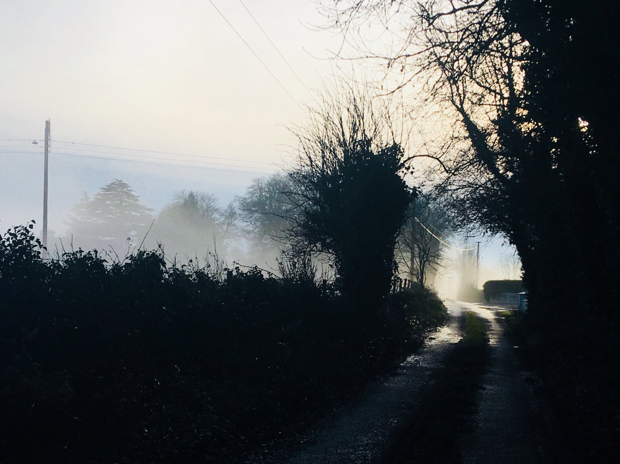 Grow up in Rural Ireland? Then get in touch!