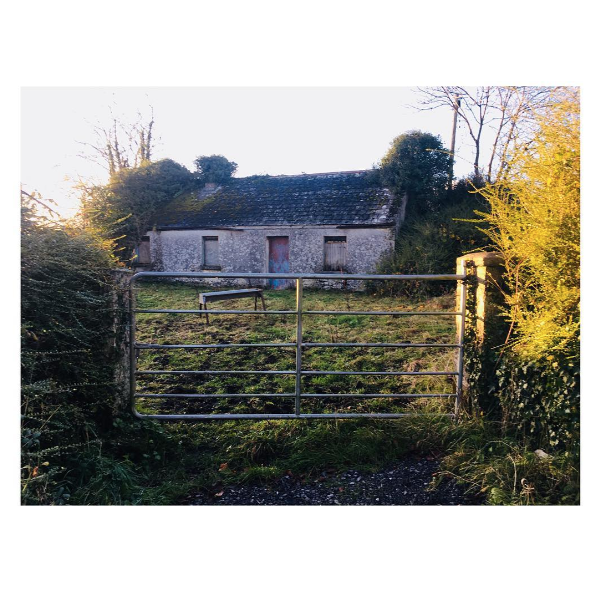 Xnthony and Public Discussion about Roscommon