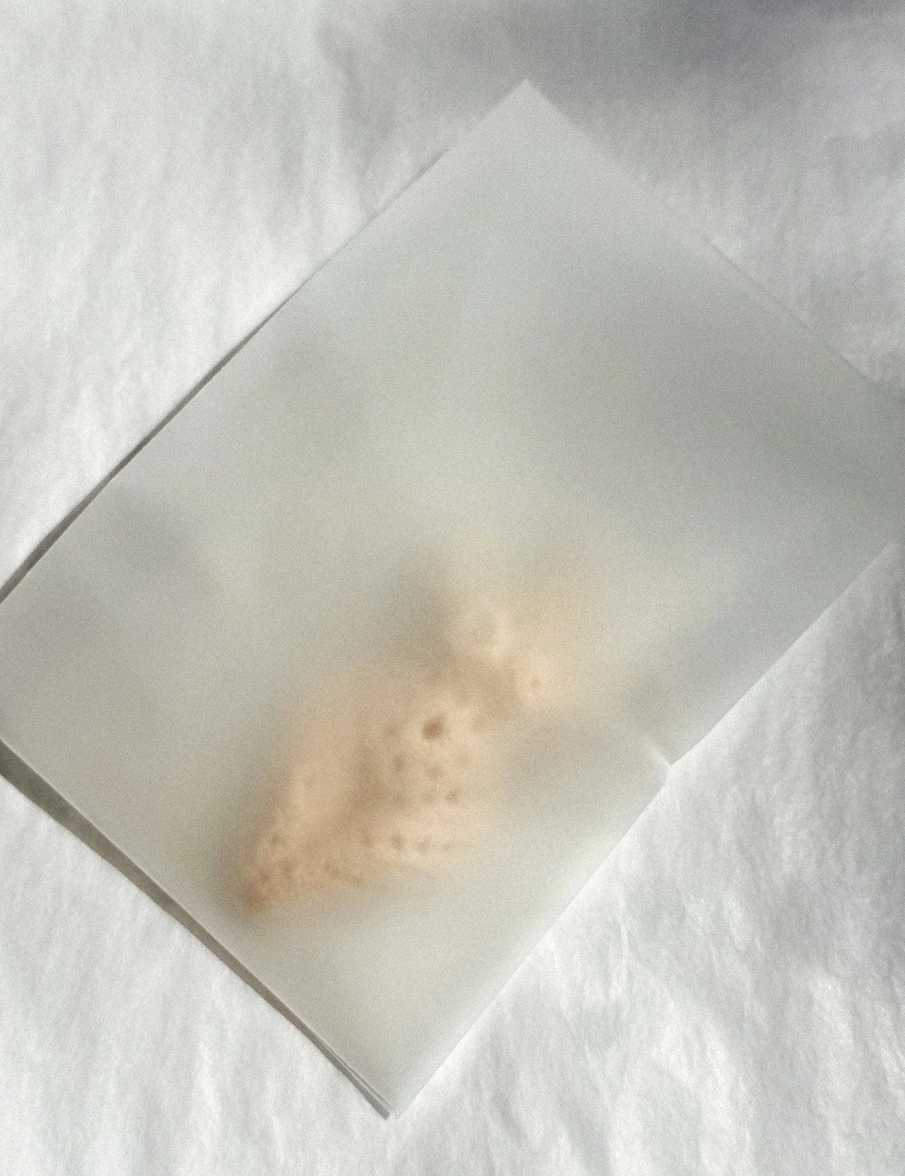 km-by-lange-jasmine-handmade -venus-trypilla-soap-6.jpeg