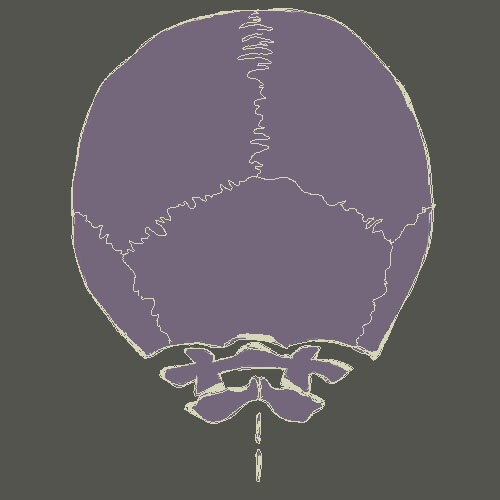 Lessen systemic inflammation and pain with this visualization