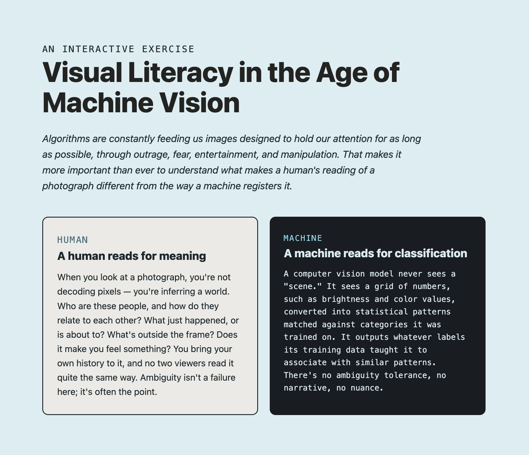 screenshot preview of interactive visual literacy tool