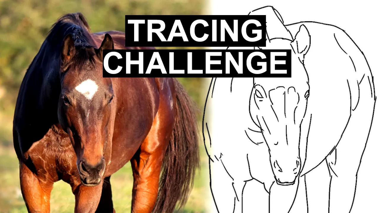tracingchallenge.jpg