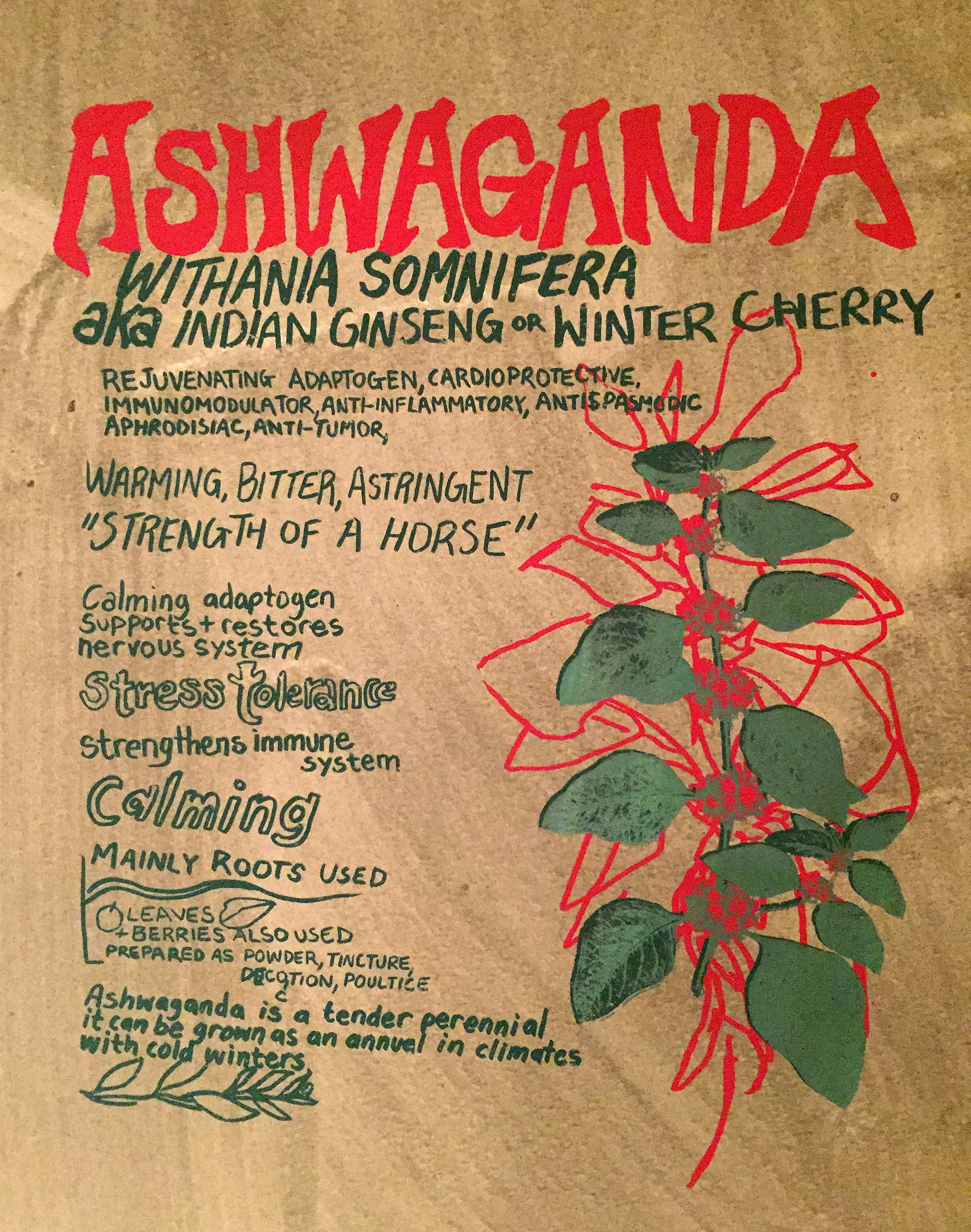 ashwaganda.jpg