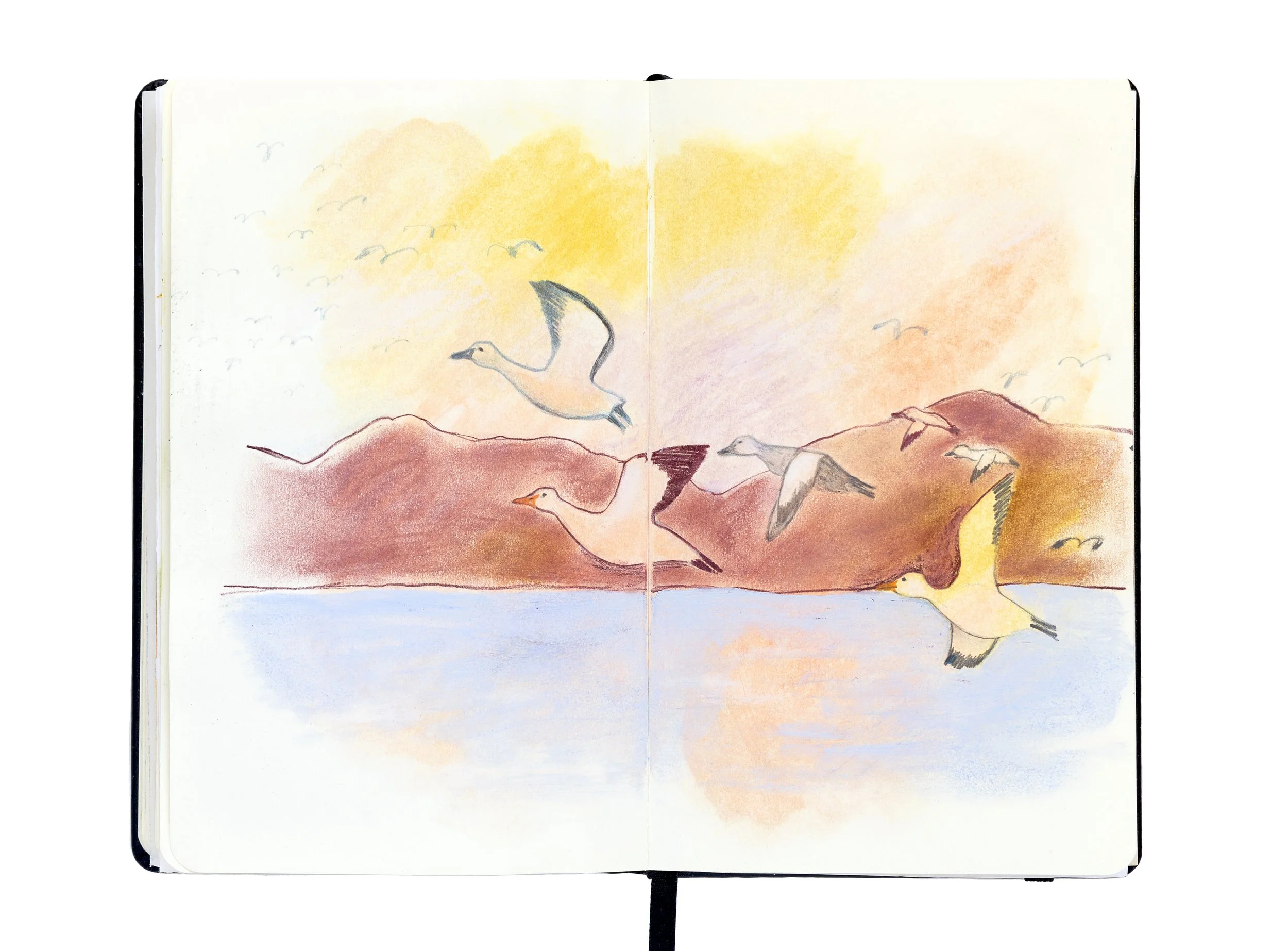 double-pages sketchbook dessin envolée d'oies blanches sur fond de montagne et fleuve