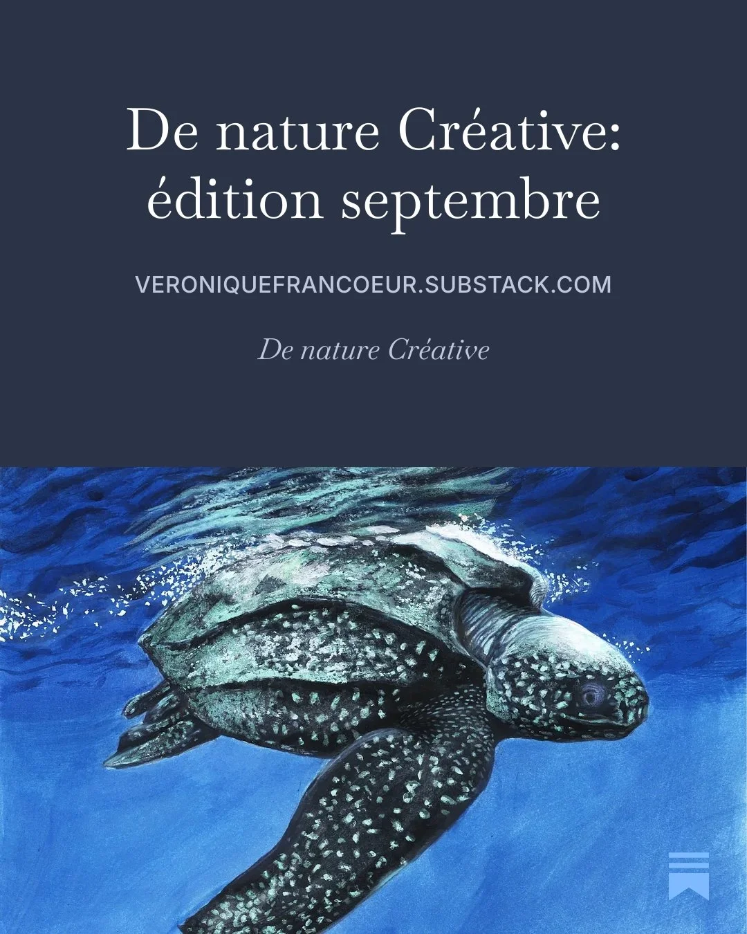 Ce mois-ci dans l'infolettre-une rencontre inattendue. Je partage une exp&eacute;rience m&eacute;morable v&eacute;cue lors de mon dernier voyage + de belles suggestions culturelles pour septembre.
.
.
.
#newsletter #infolettremensuelle #denaturecreat