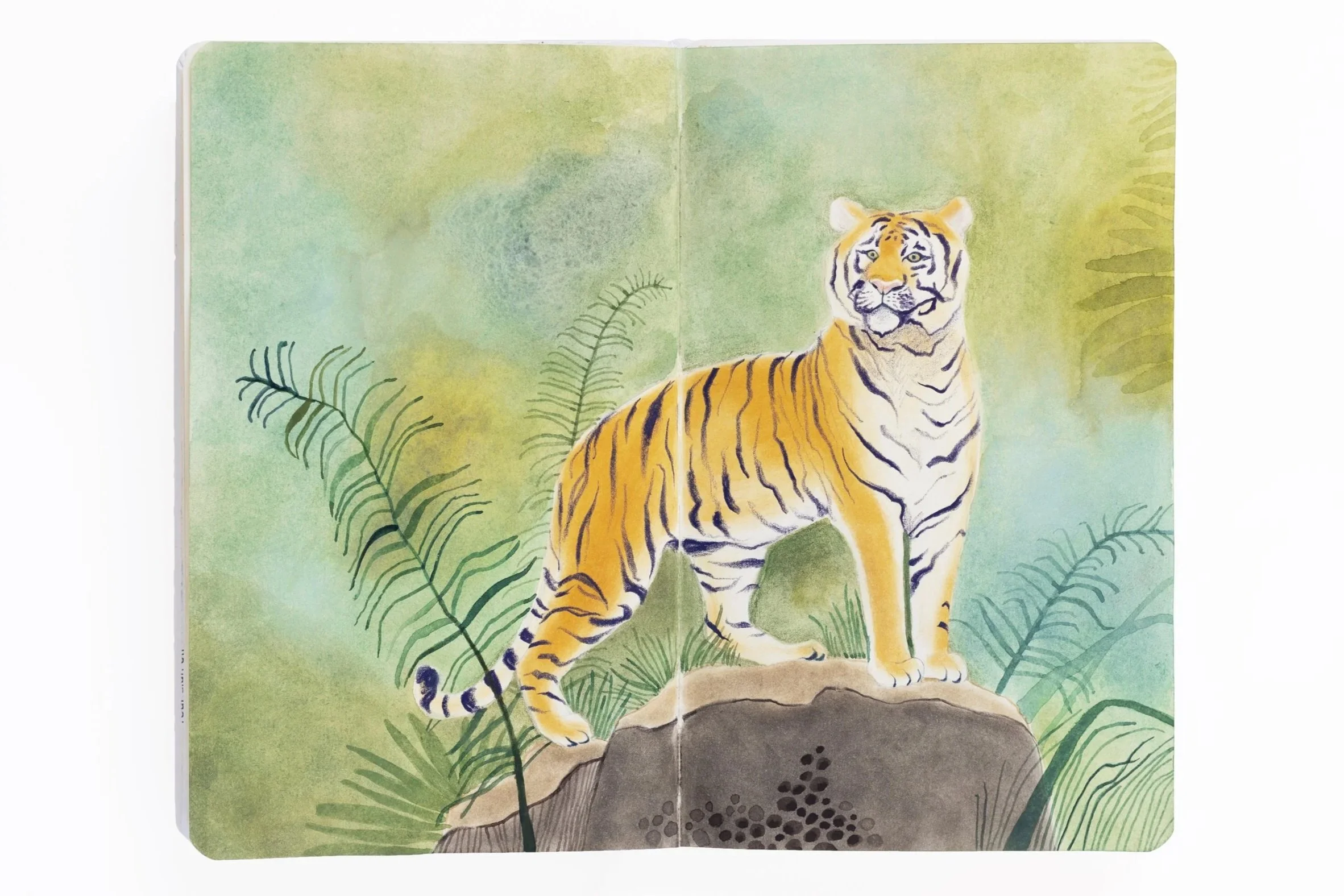 double-page sketchbook dessin tigre dans la jungle