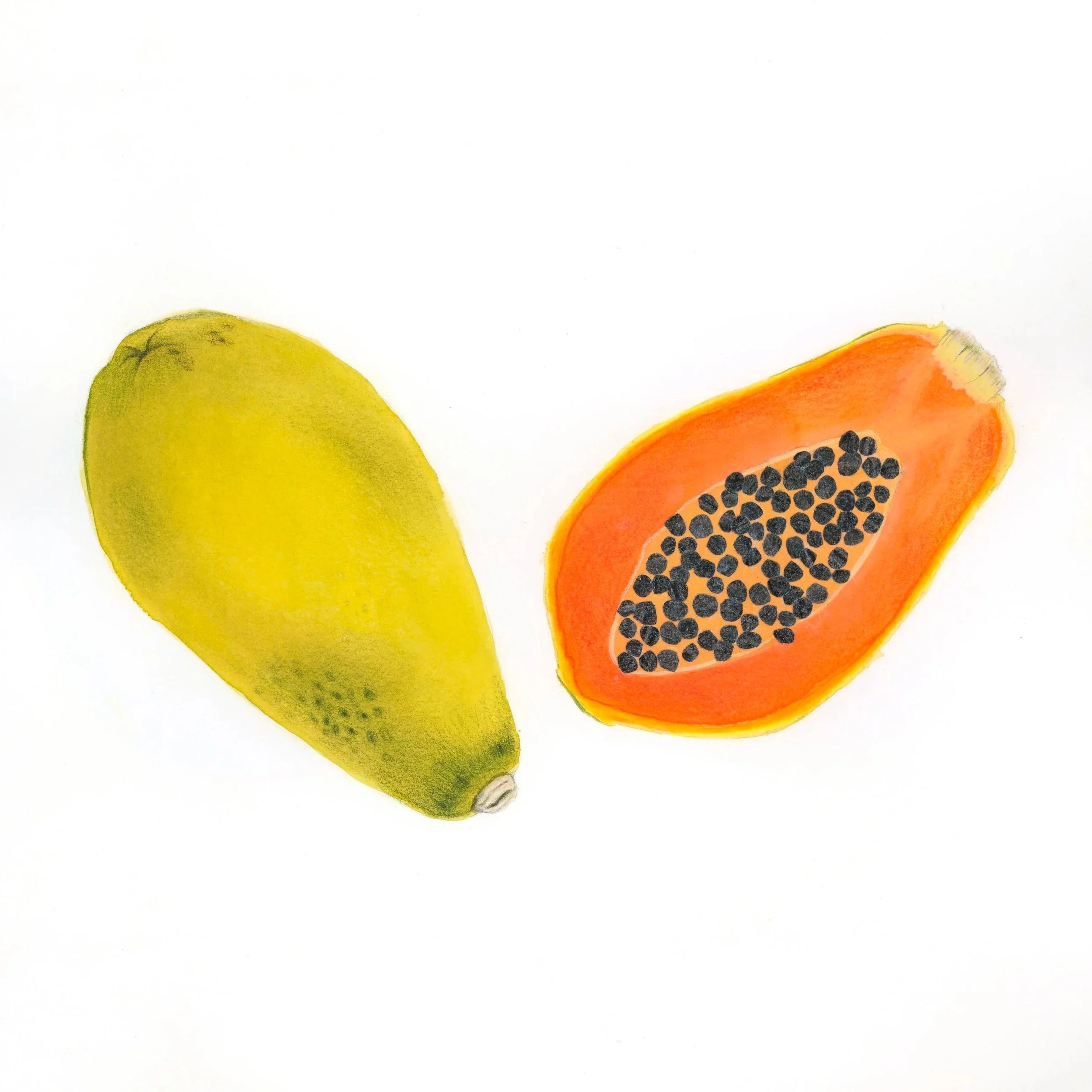 illustration papaye pelure extérieure verte et coupe transversale orangée avec pépins noir découpés et collés