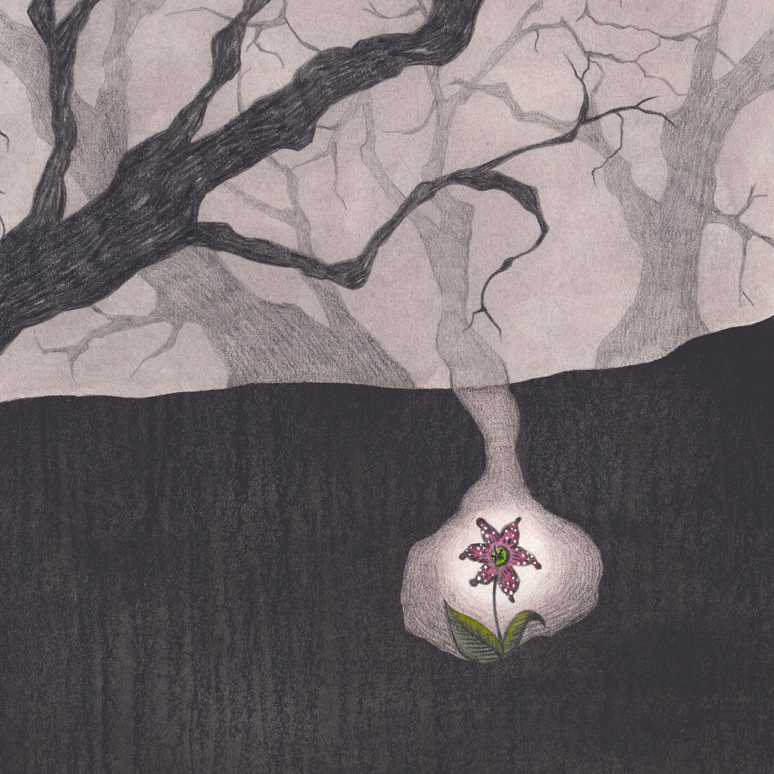 illustration fleur rouge dans terrier sous la terre avec ombrage d'arbres menaçants