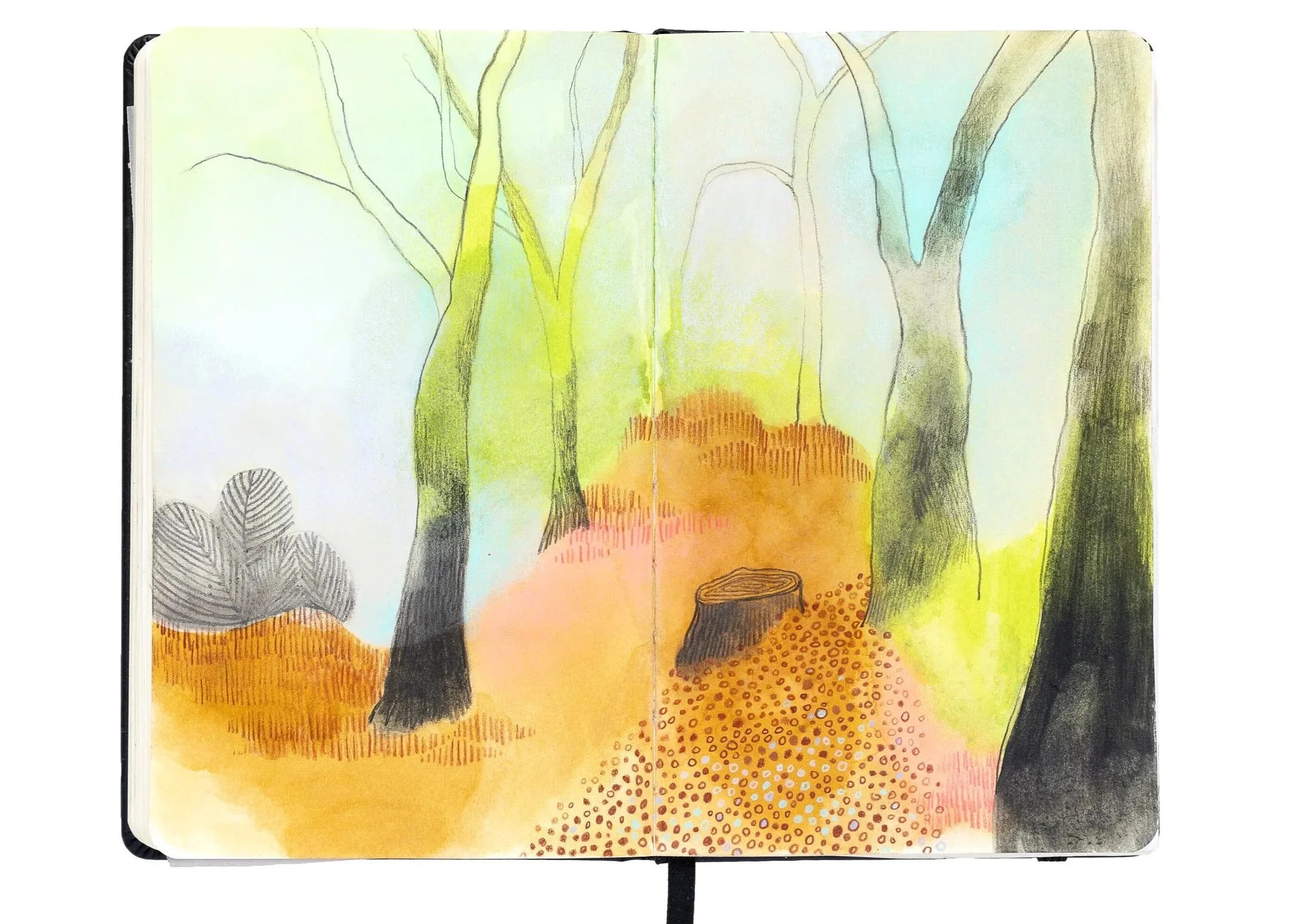 double-pages sketchbook dessin forêt enchantée fantastique