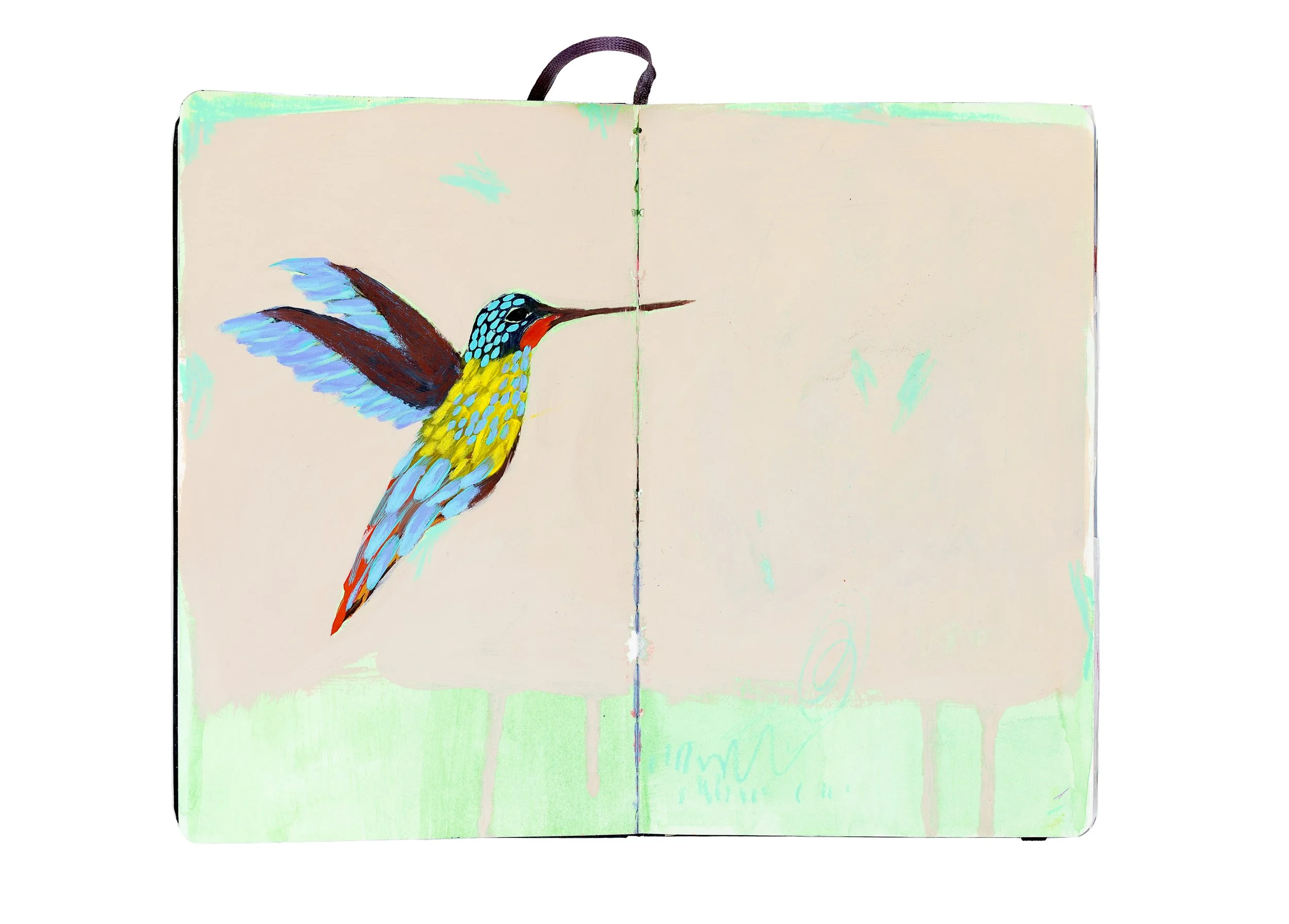 double-pages sketchbook illustration colibri à l'acrylique