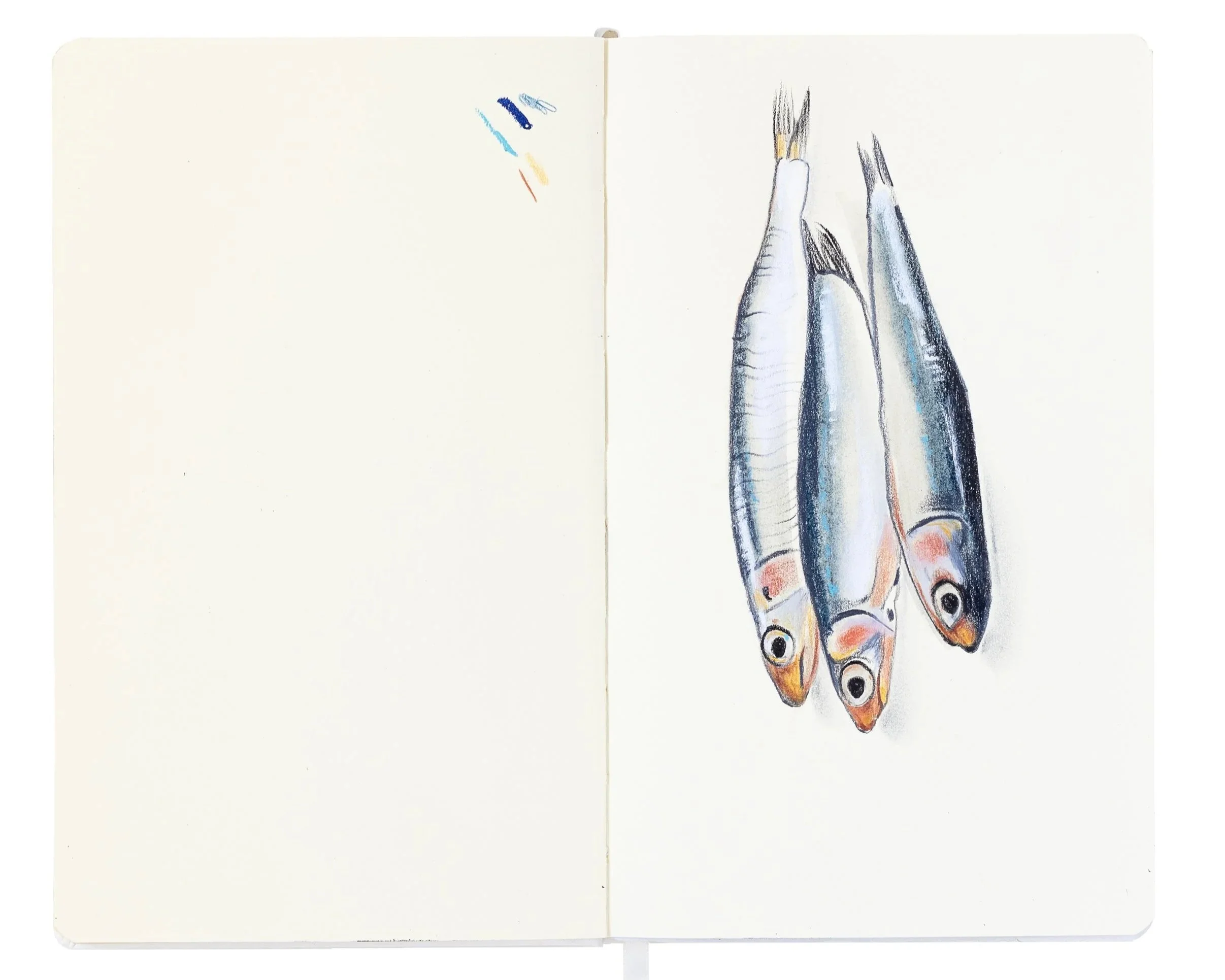 double-pages sketchbook dessin pastel trio de sardines