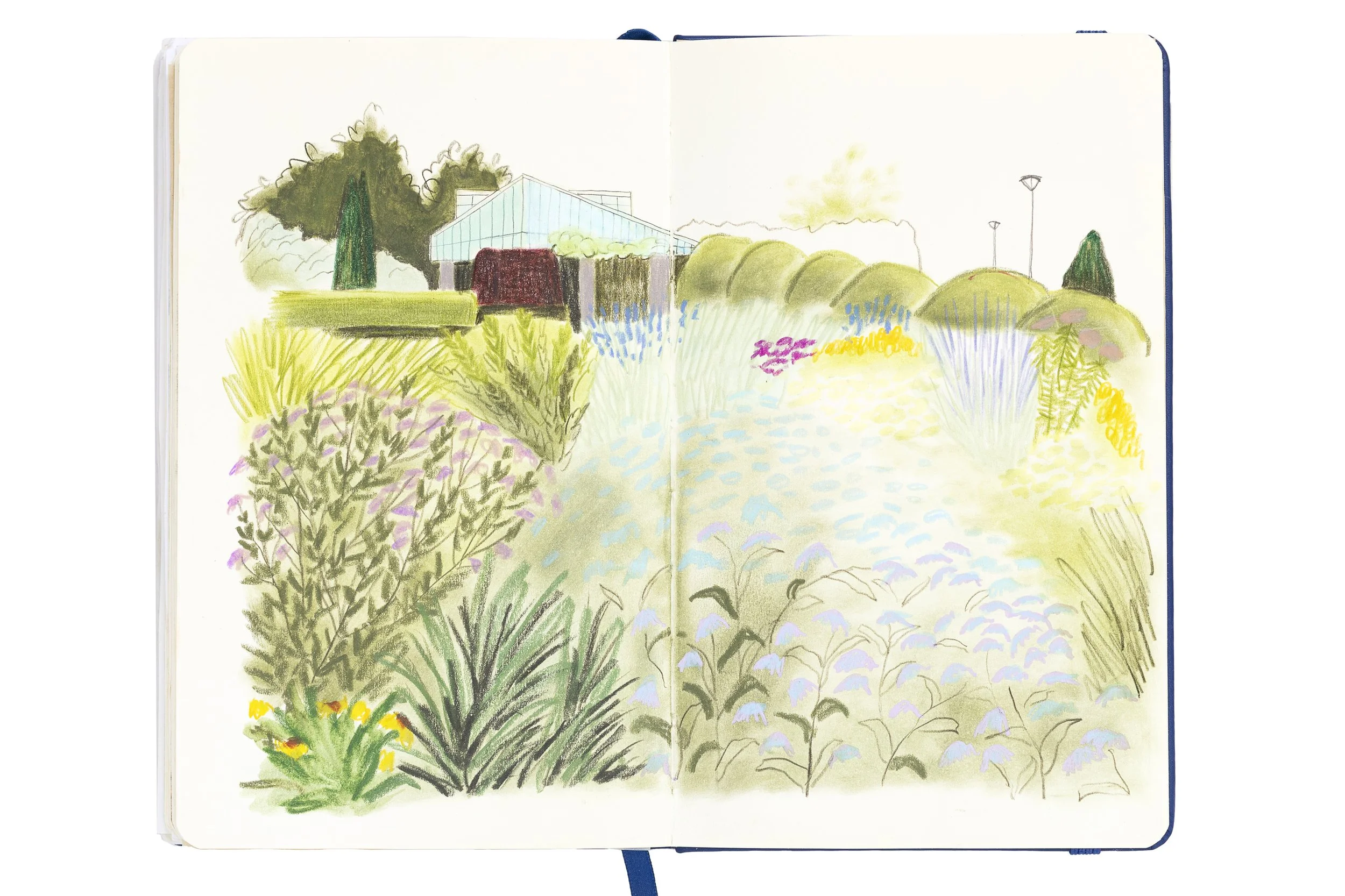 double-pages sketchbook dessin jardin fleurit
