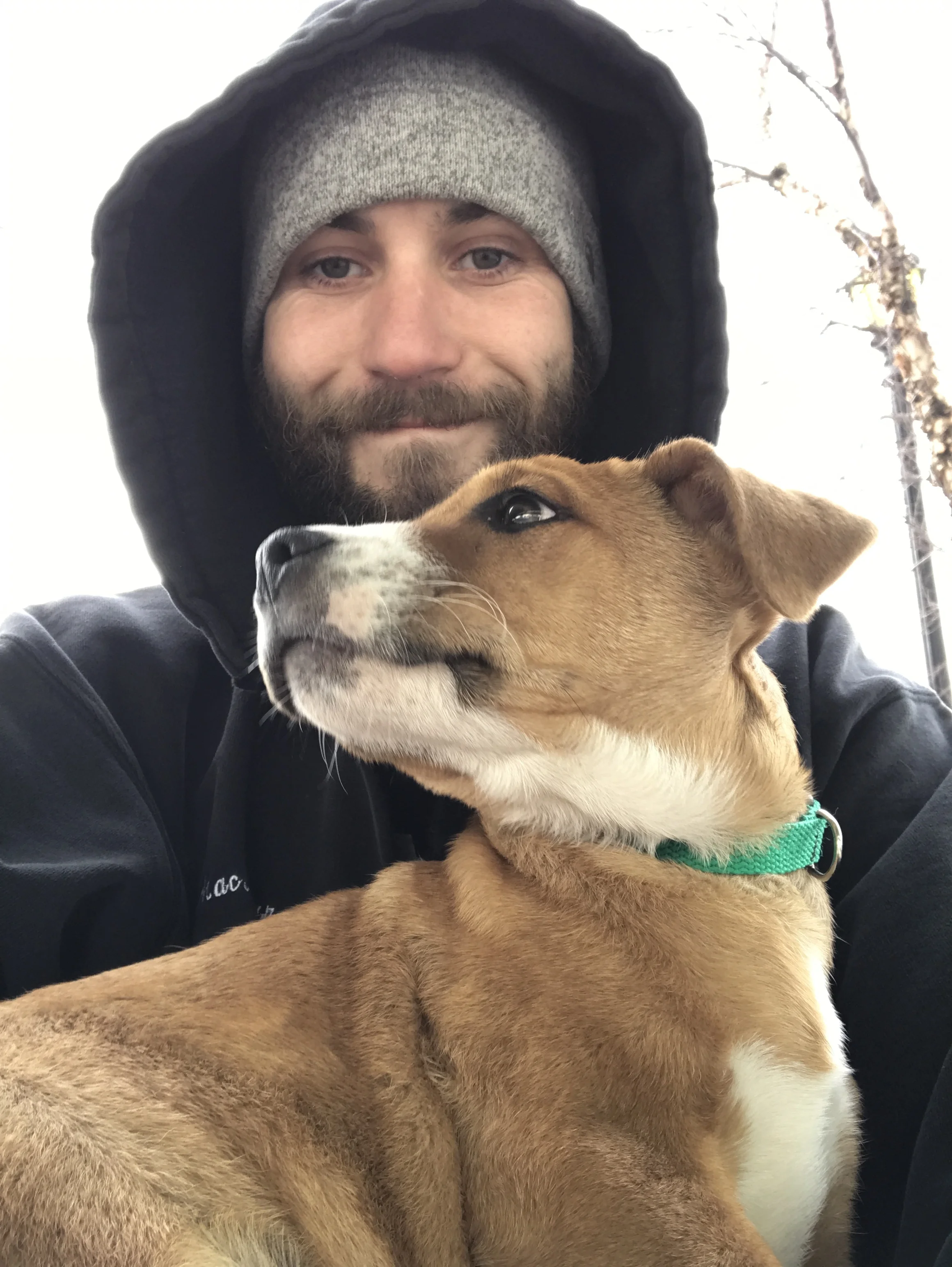 woof local dog walking