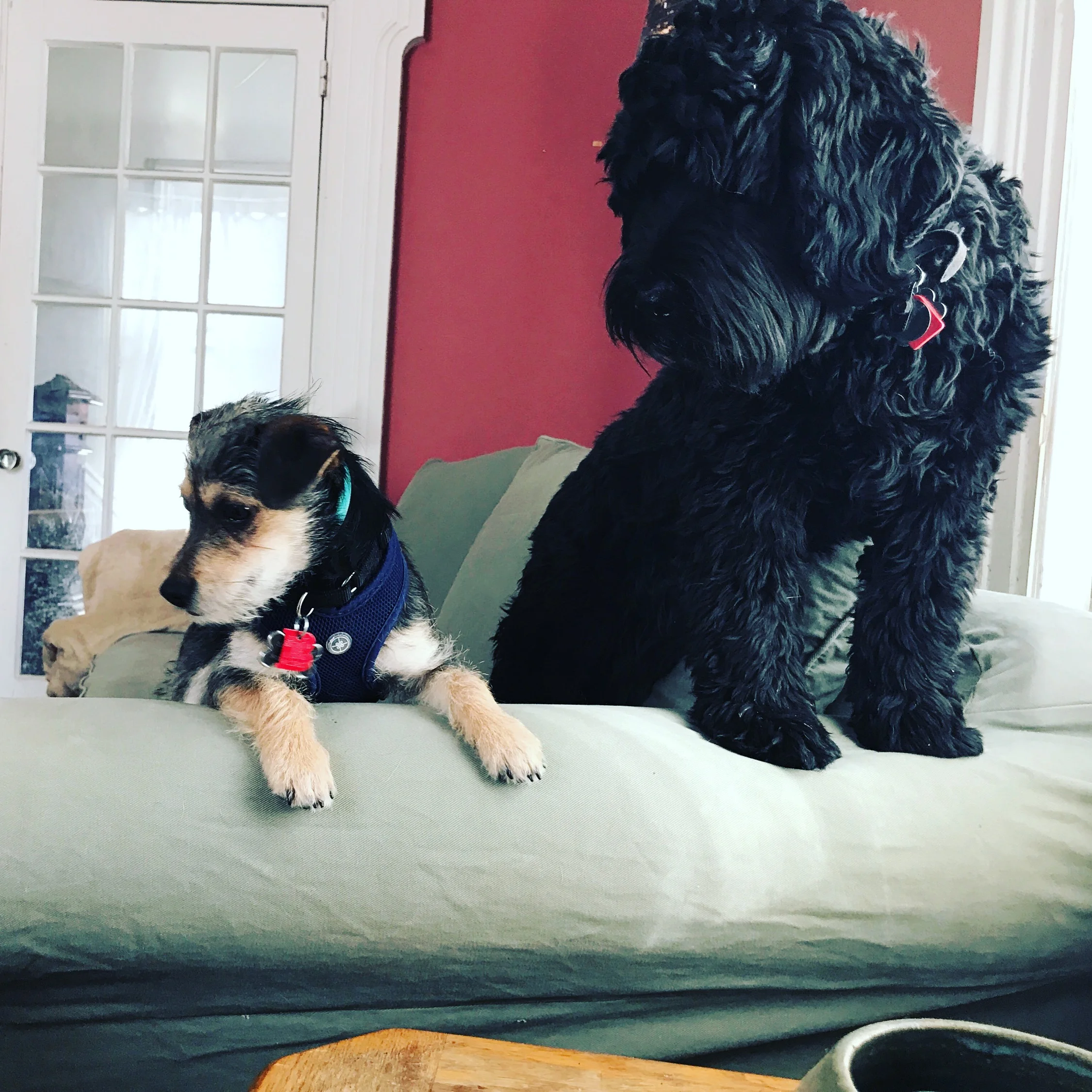 Callie and Kennedy