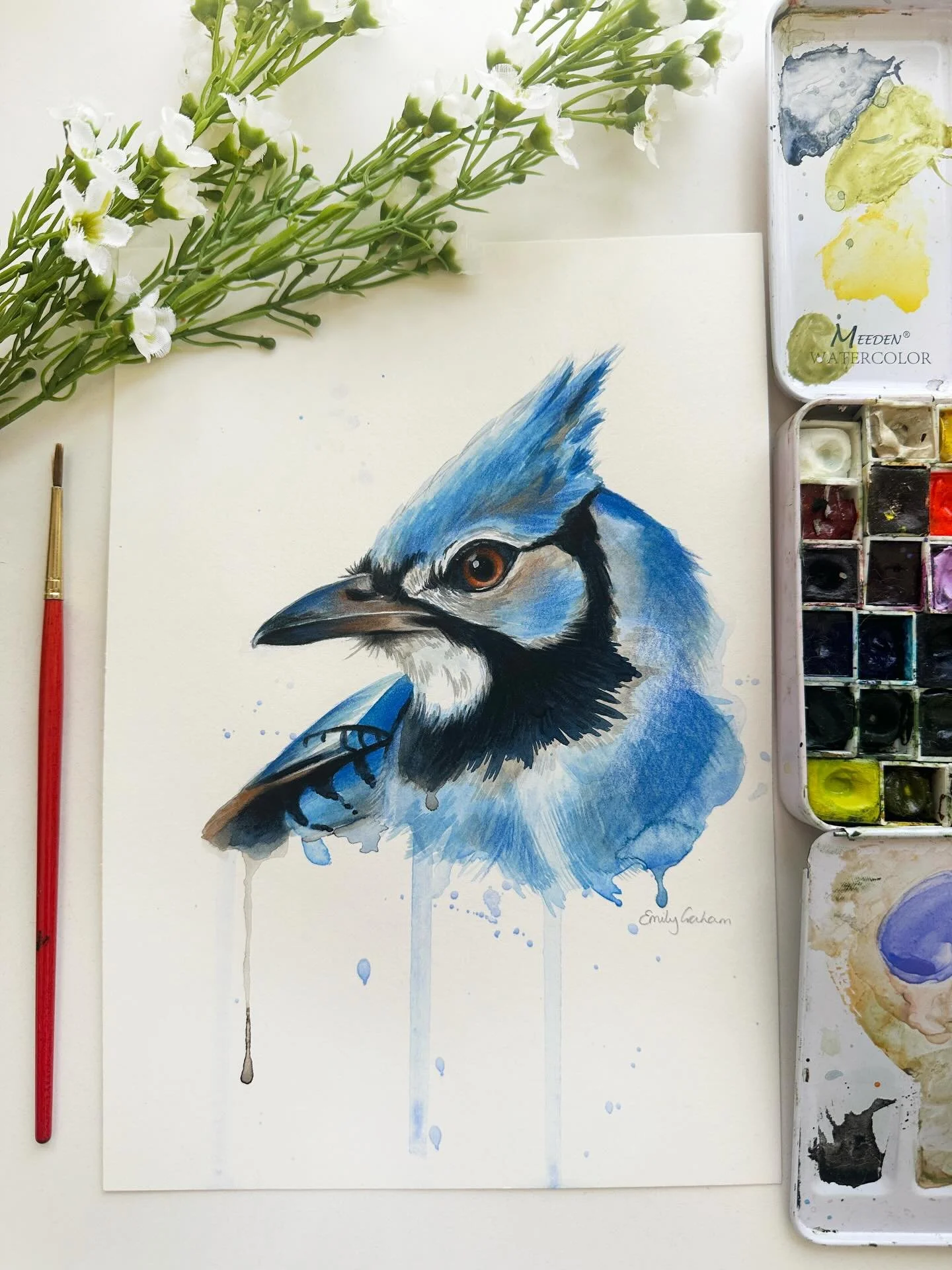 A little Blue Jay watercolour &amp; neocolour study❤️

#watercolor #watercolour #neocolor #bluejay #birdpainting