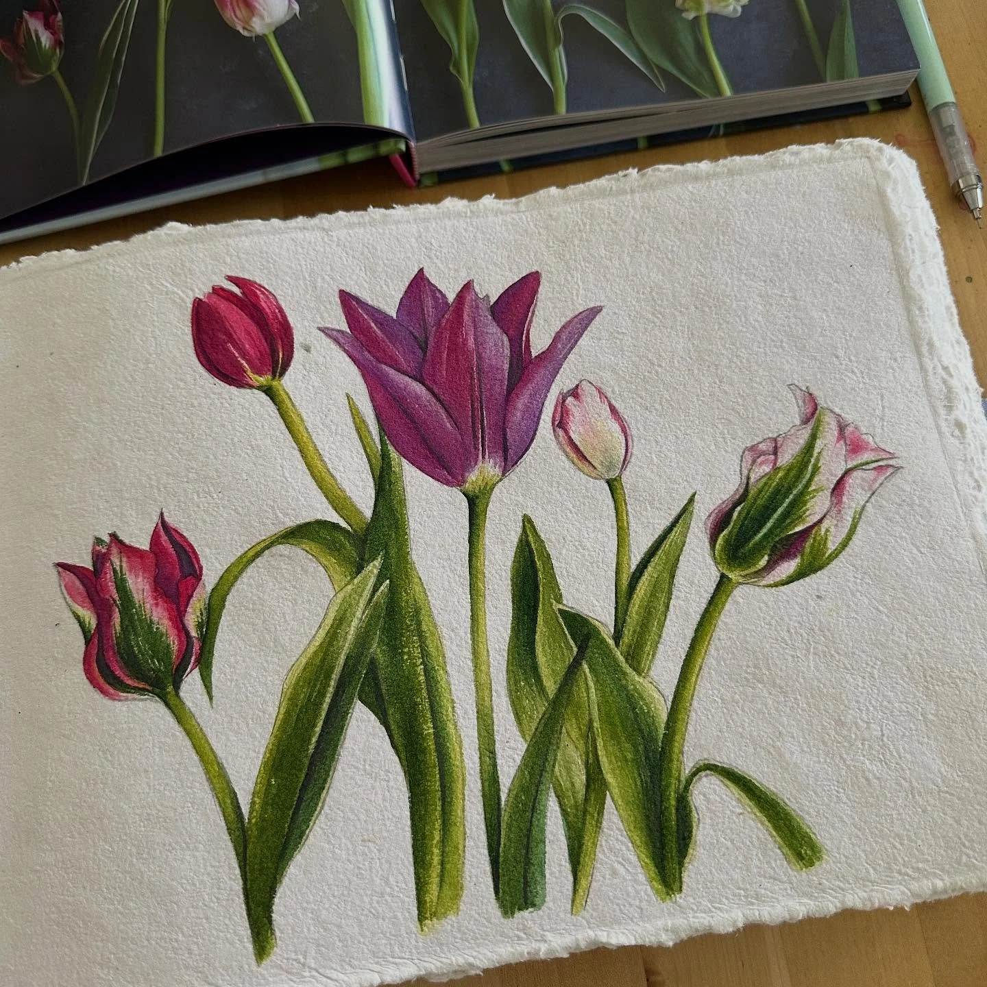 A little warm up watercolour study.. I&rsquo;m slightly tulip obsessed hahaha! ❤️🌷

#watercolourstudy #sketchbookart #watercolor #tulips