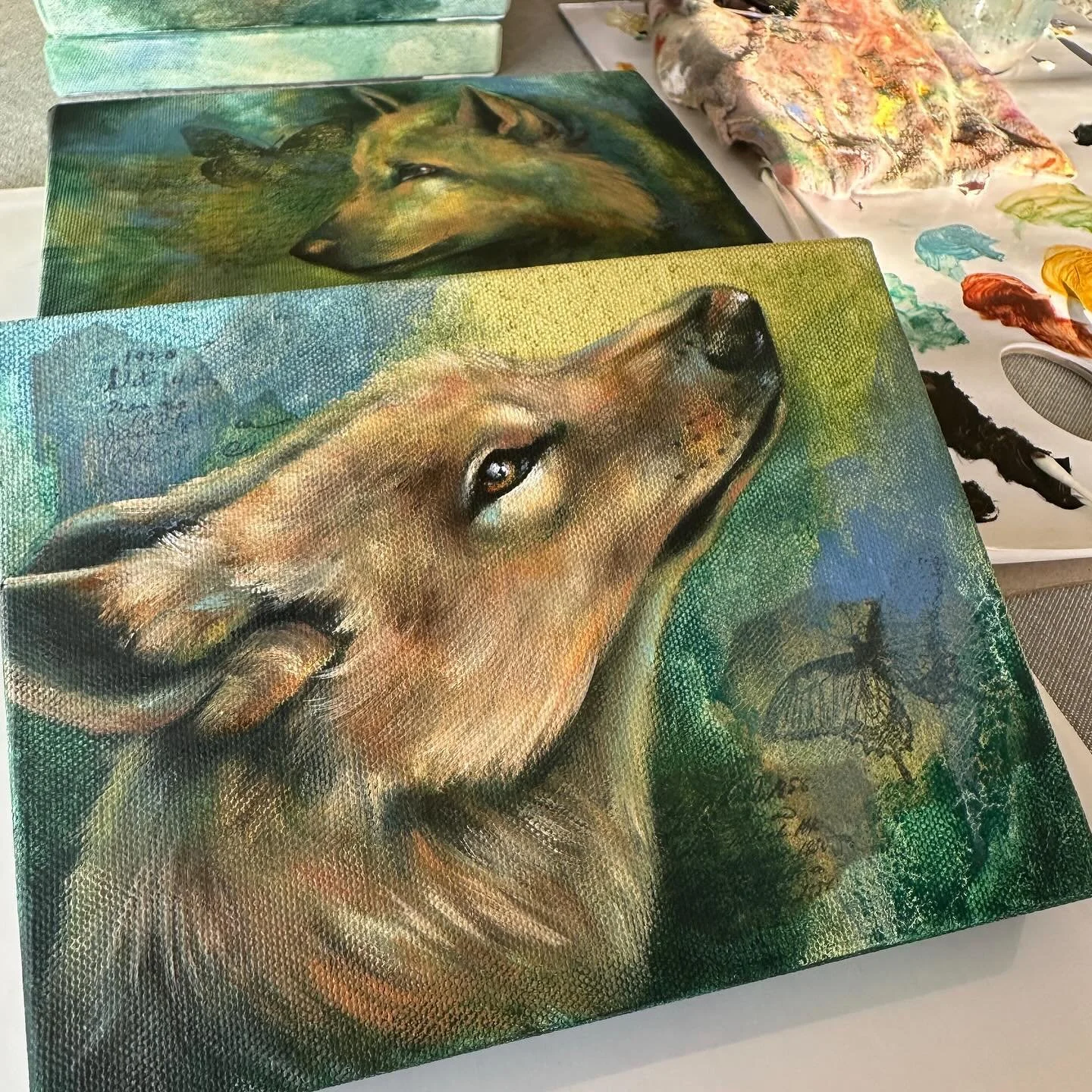 Working on a collection of little wolves to complement my bigger pieces in this series ❤️😍

#workinprogress #wip #artistsoninstagram #artiststudio #wolves #wolfart #wolfpainting #oilpainting #wolfstudy #abstractrealism #wildlifeart #whimsicalart #fa