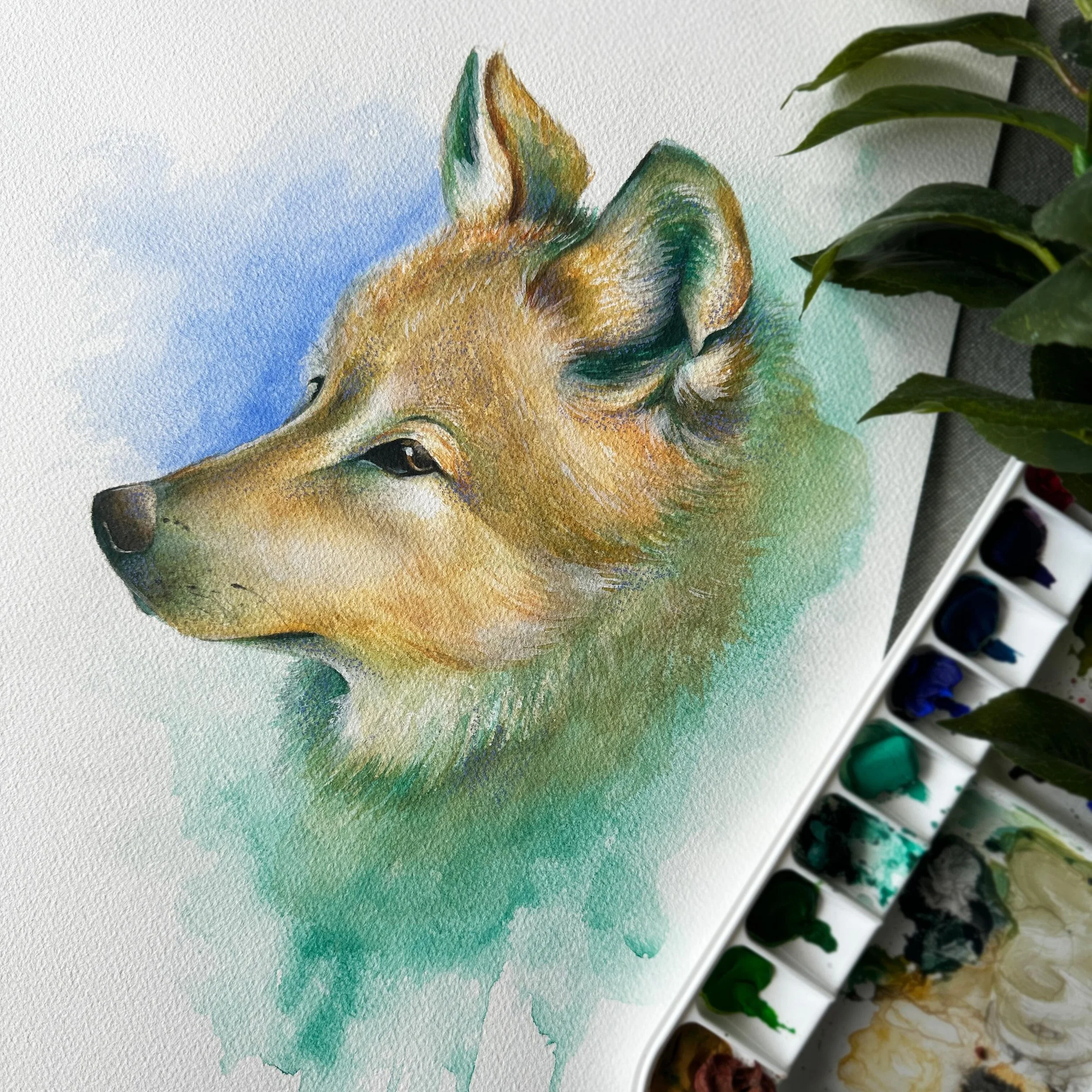 Another gouache and watercolour wolf study ❤️😍 

#watercolour #gouache #wolfpainting #whimsicalart #wolves #wildlifeart #wildlifeartist #bendigoartist #bendigosmallbusiness #abstractrealism
