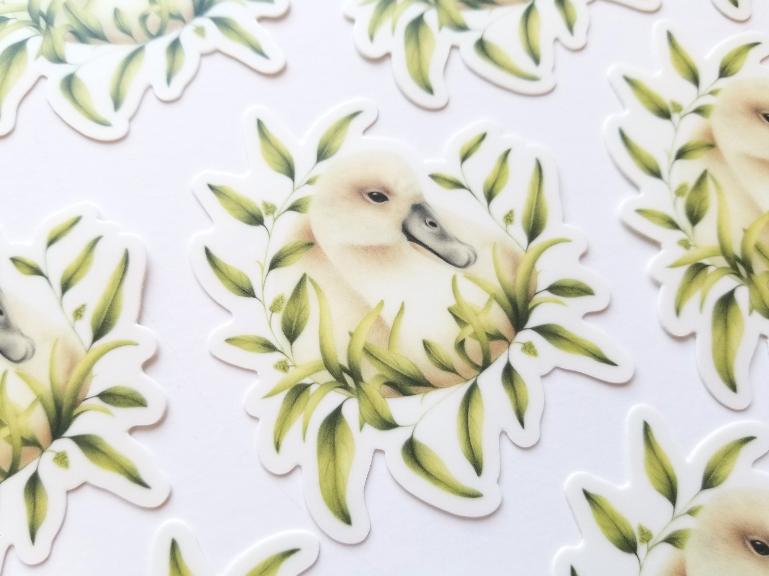 SignetSticker_etsy5.jpg