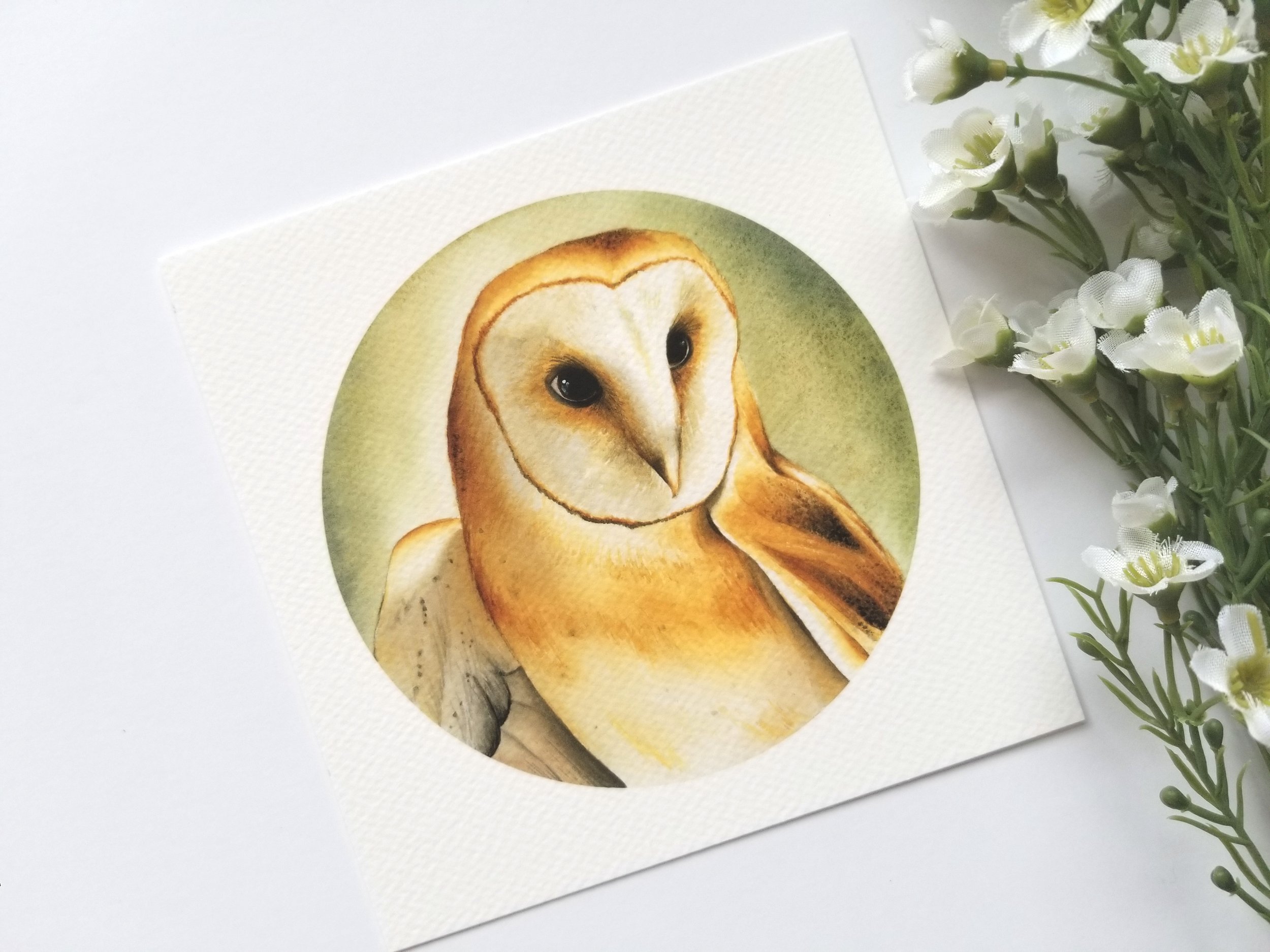 barnowl print3.jpg