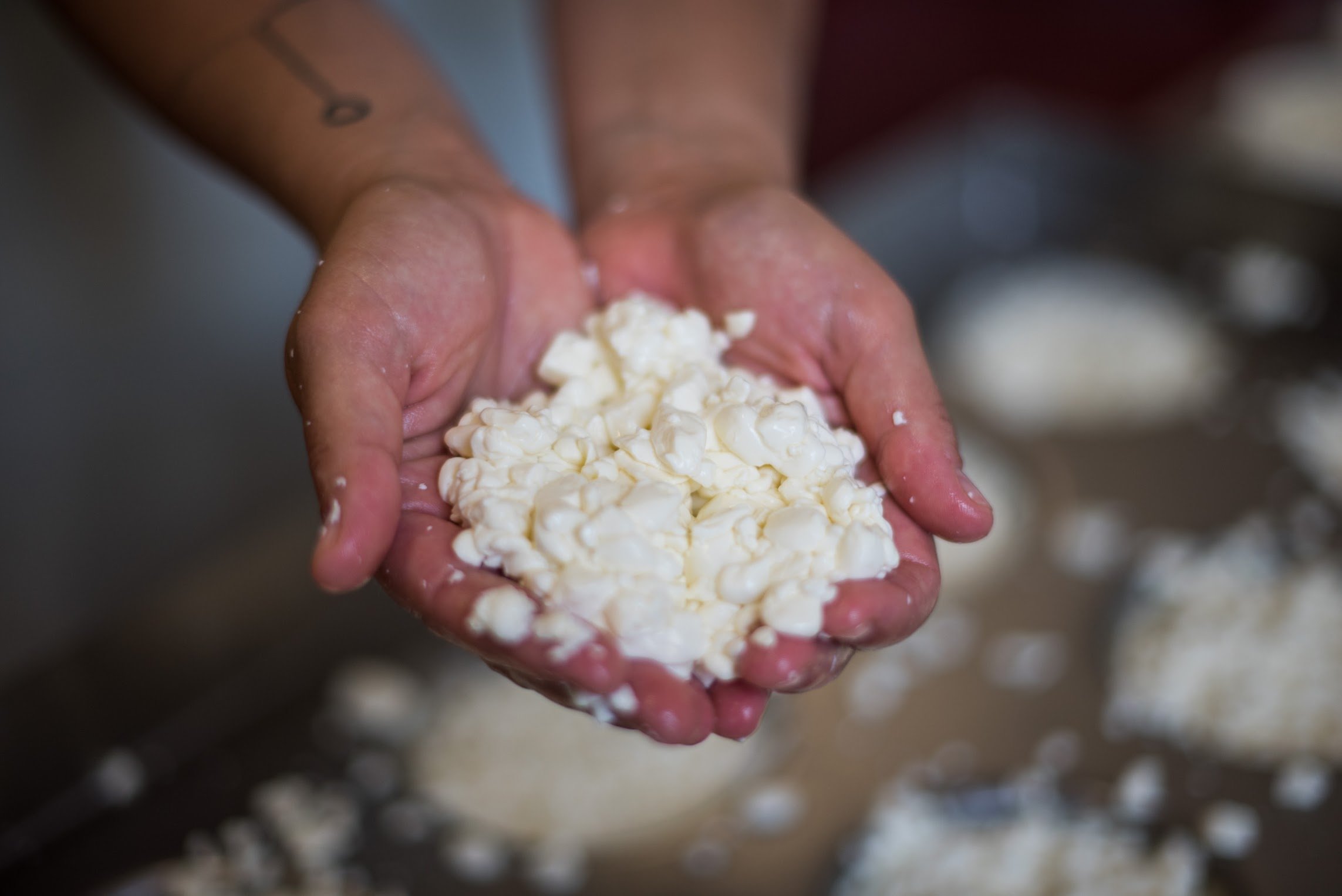 Curd in hands.jpeg