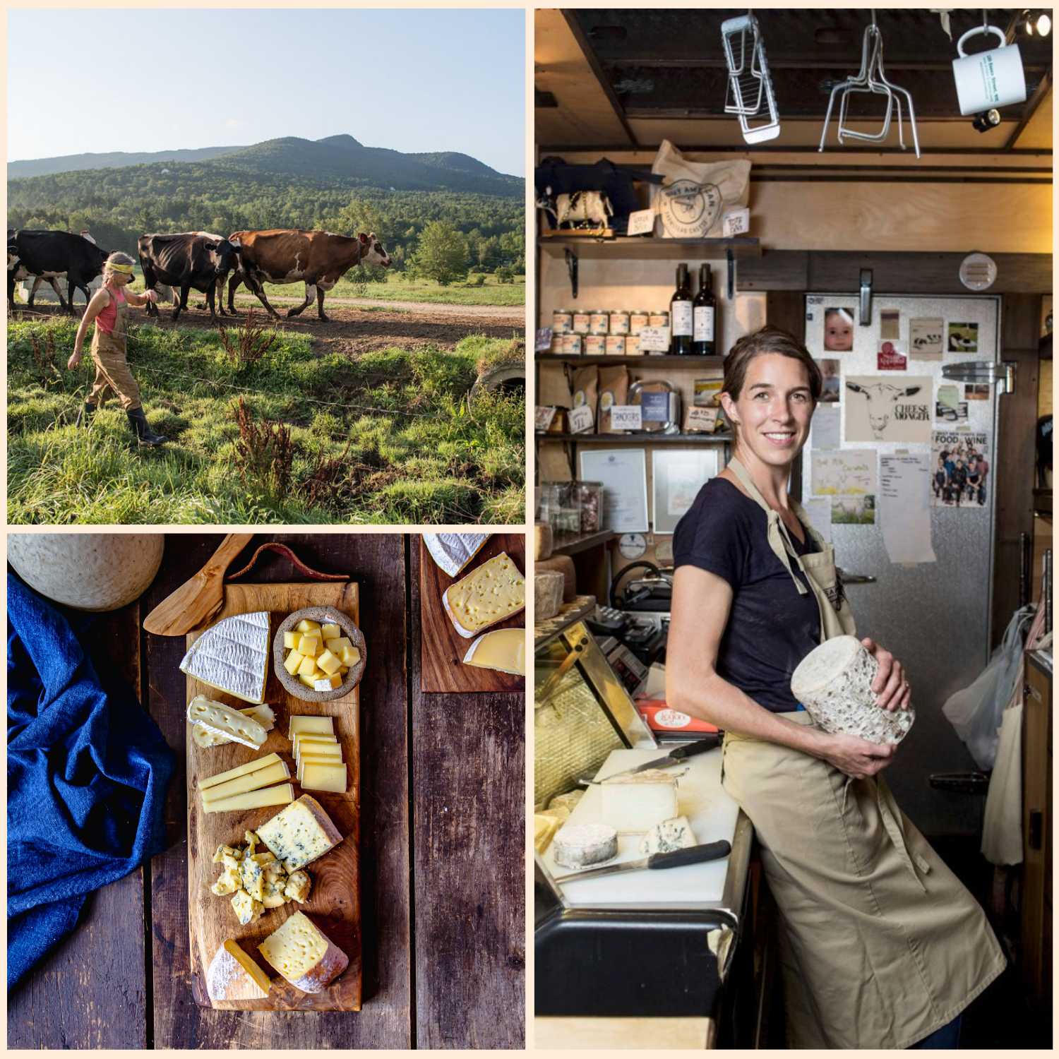 ASLF Holiday Gift Box Image for Website (1).png