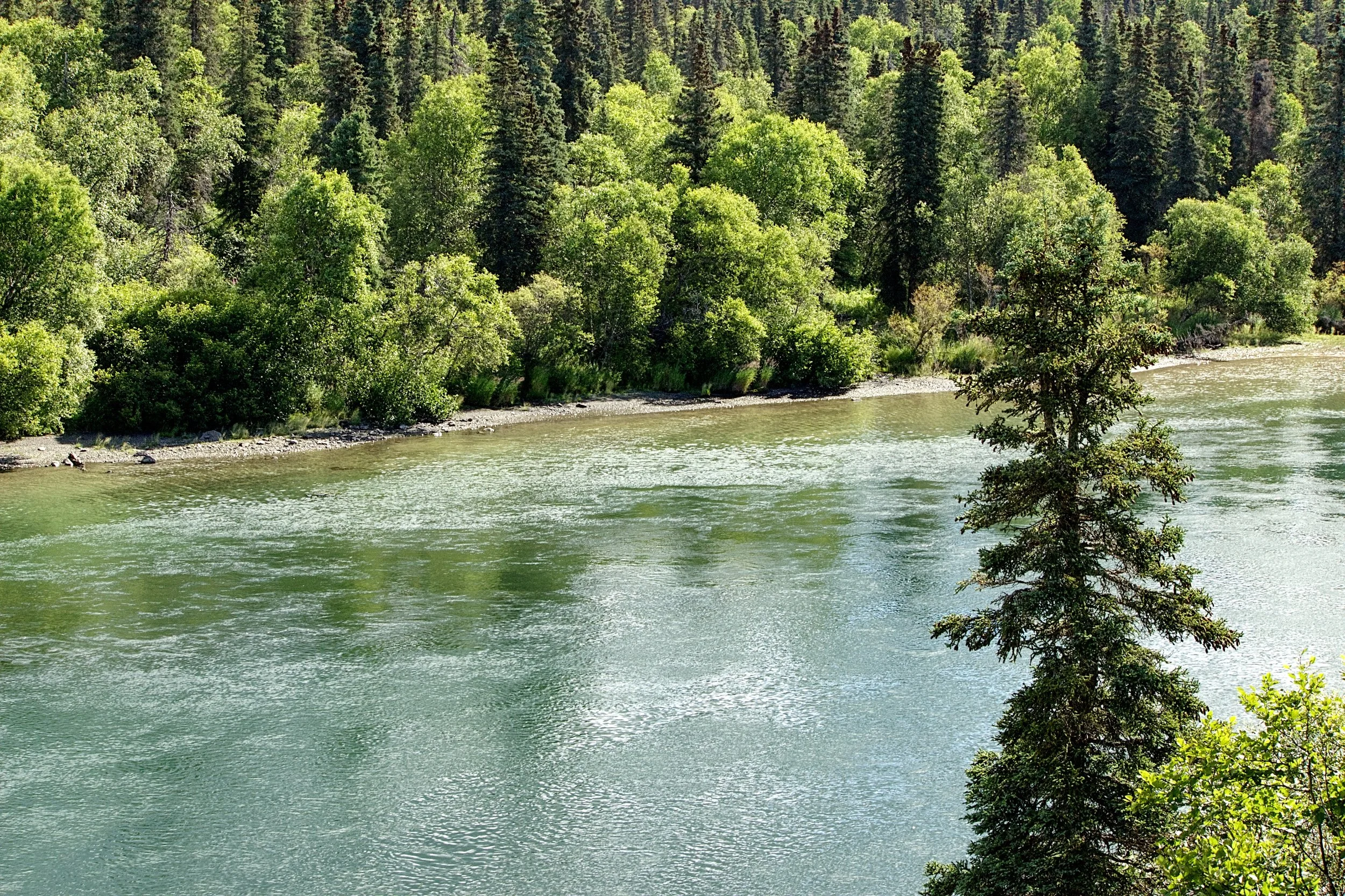 Wood River.jpg.jpeg