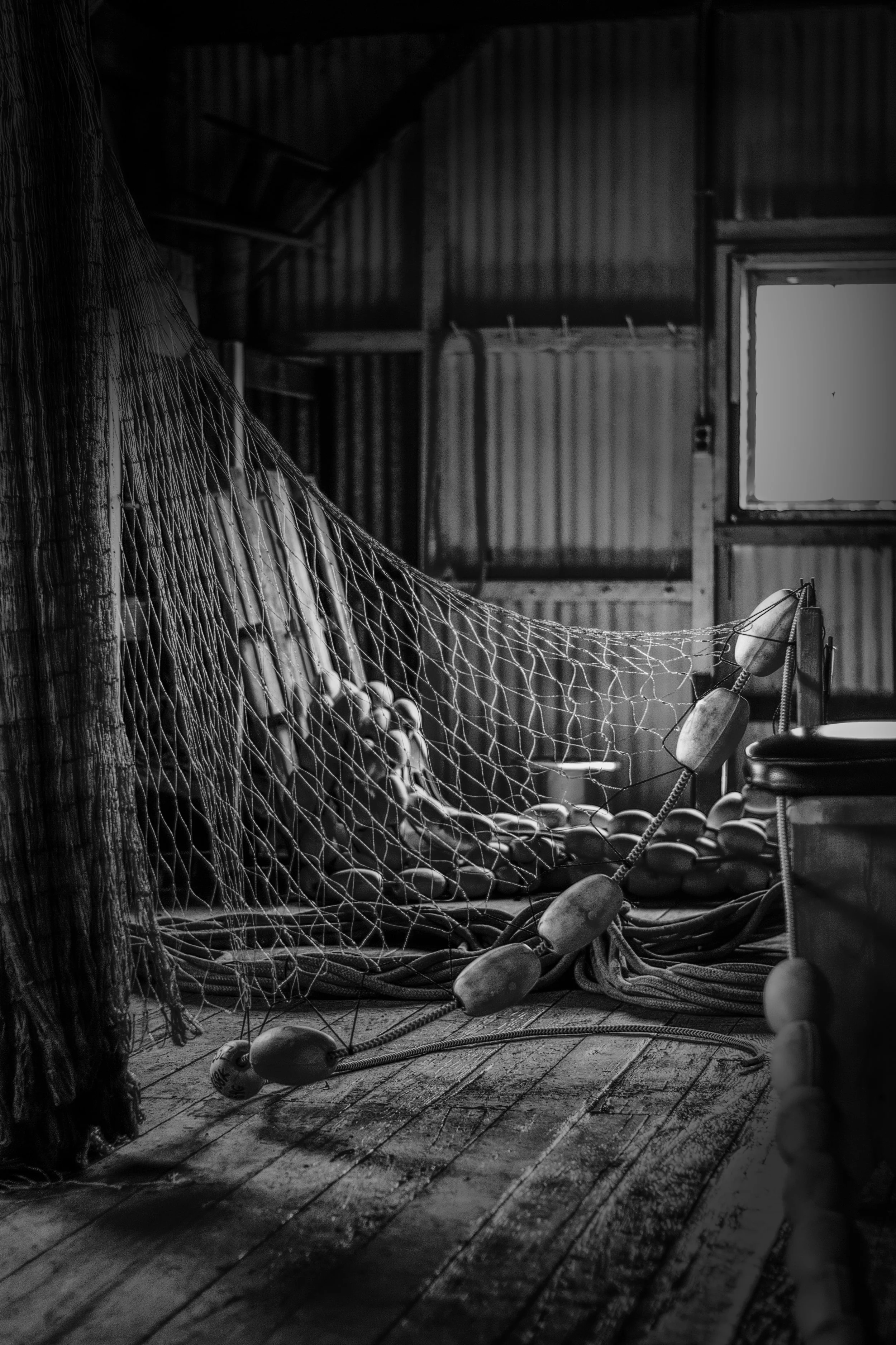 Hanging Net BW.jpg